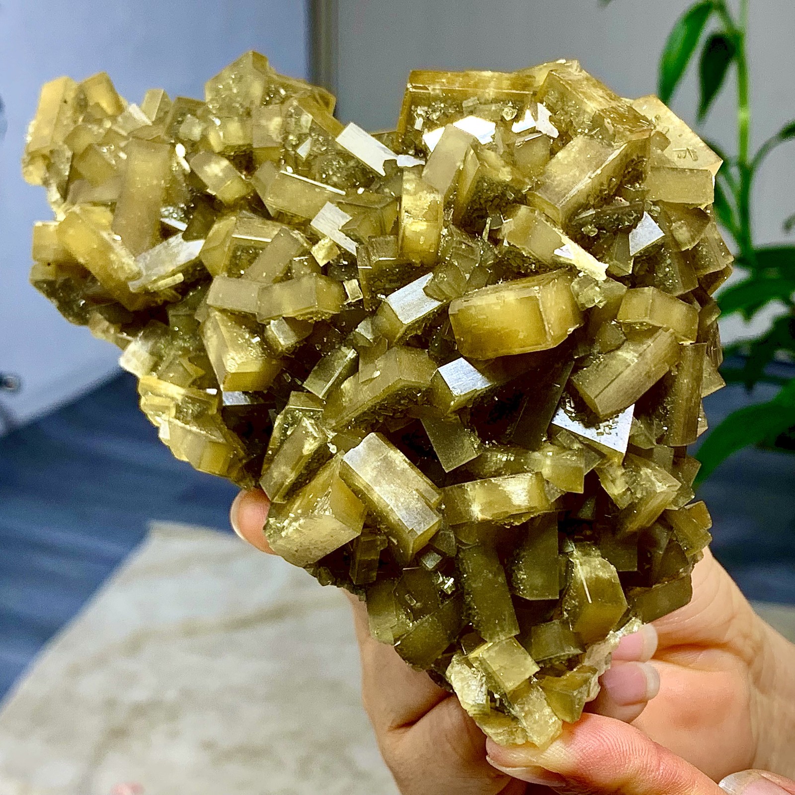 2.36LB Shiny Golden Cuboid Barite Crystal Based on the Purple Spherical Fluorite