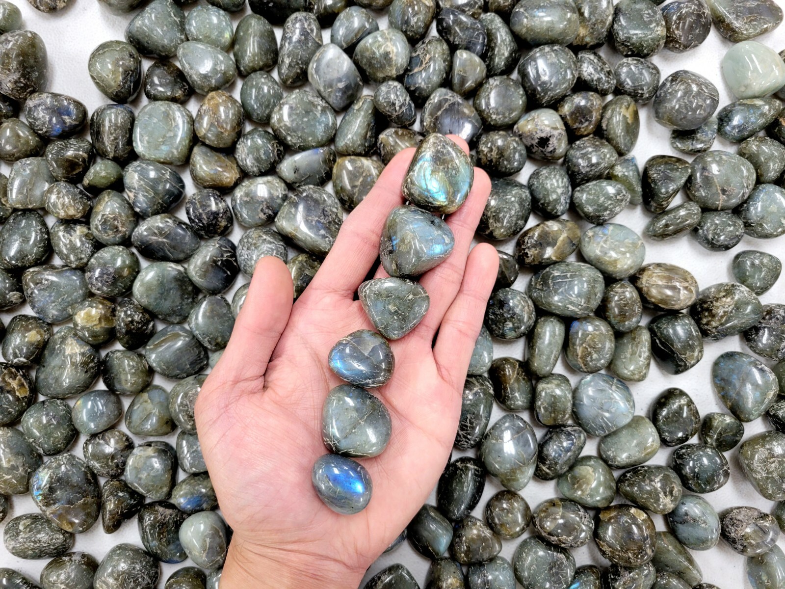 Tumbled Labradorite Crystal Stones – 3/4 inch to 1.5 inch – Bulk Natural Gems