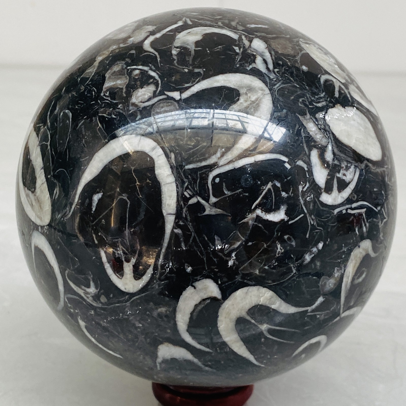 Natural Shell Jasper Thousand Eye Stone Crystal Polished Ball Healing (4.98LB)