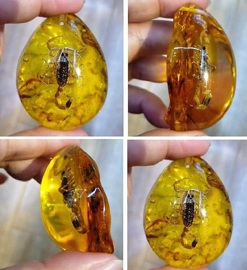 Resin Amber Insect Pendant Scorpion Fossil Stone Crystal Home