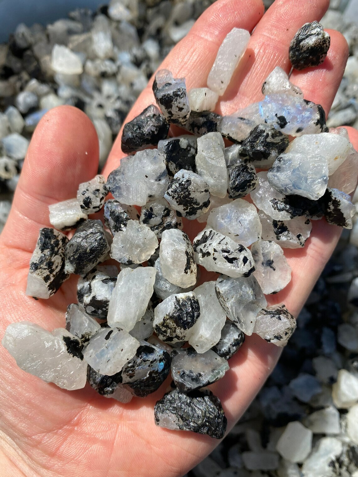 5 PCS Natural Raw Moonstone Rough Rainbow Moonstone Gemstone Mineral Specimen