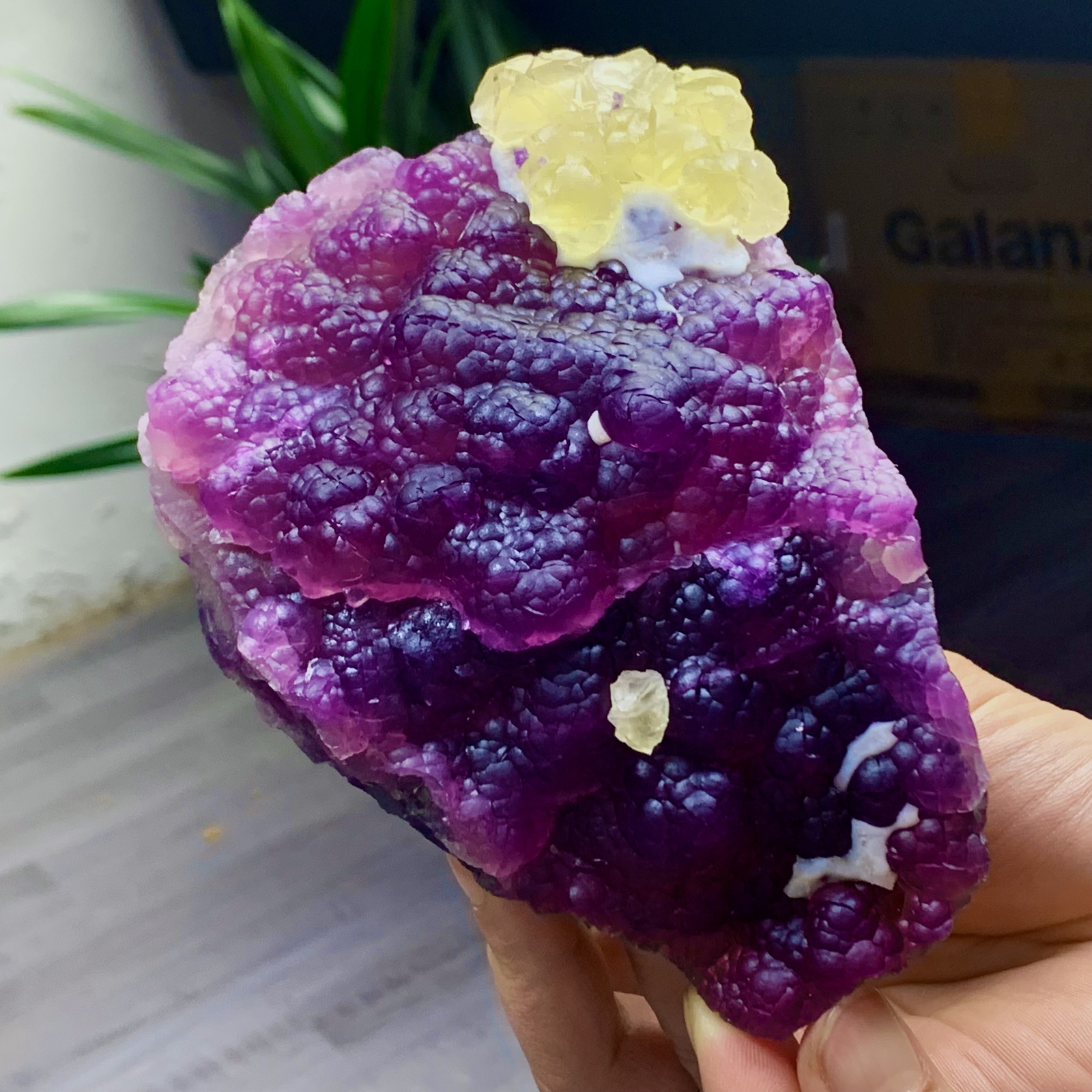 2.40LB Complete rare and gorgeous purple fluorite from Inner Mongolia, China
