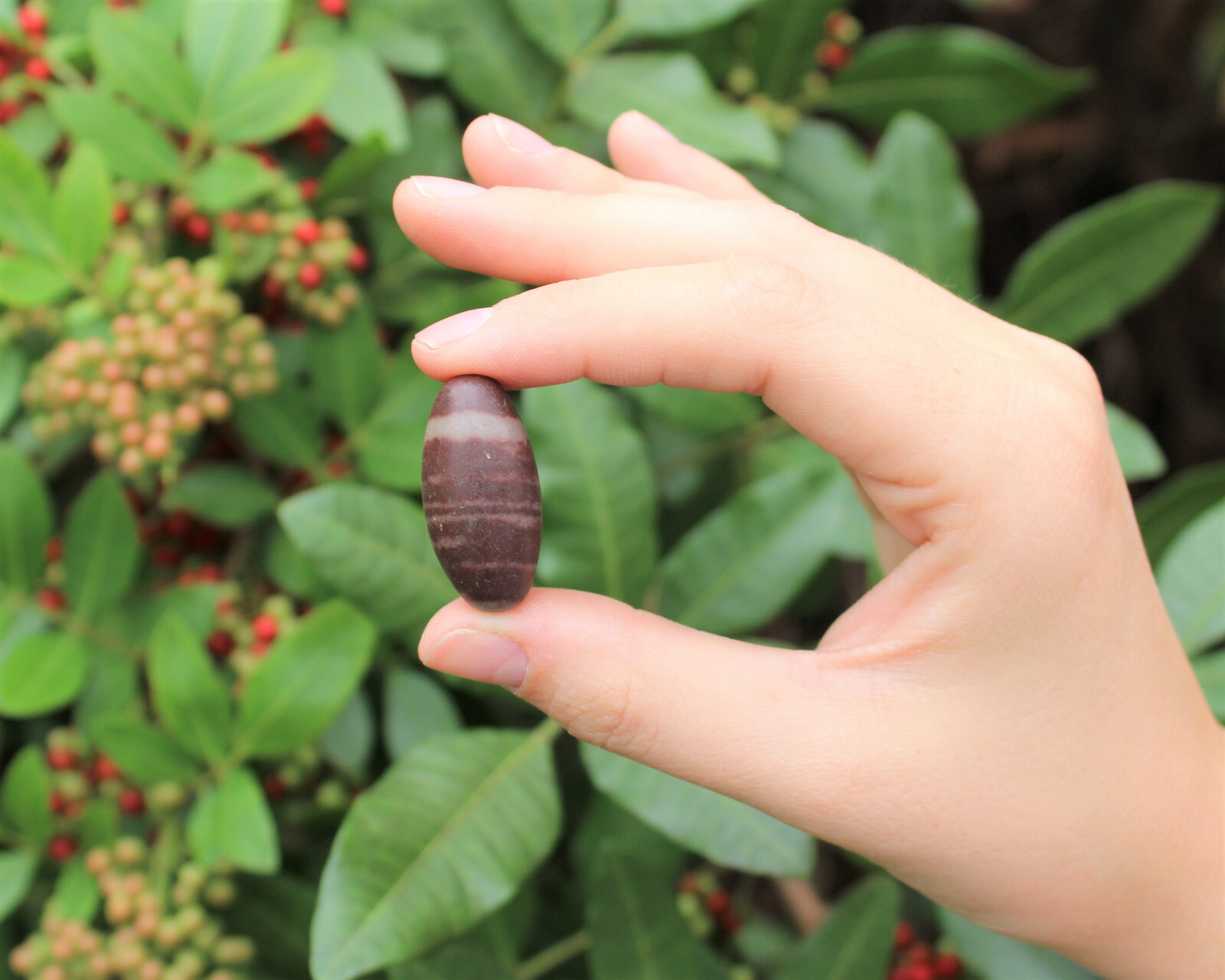 One Shiva Lingam Stone, Small 1″ – 1.25″ size (Healing Crystals, Shiva Lingham)
