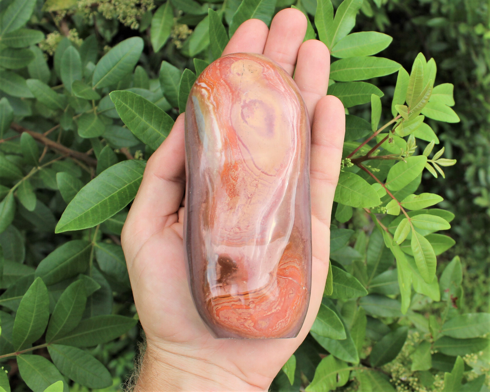 Polished Polychrome Jasper Freeform – Beautiful Free Standing Display Specimens