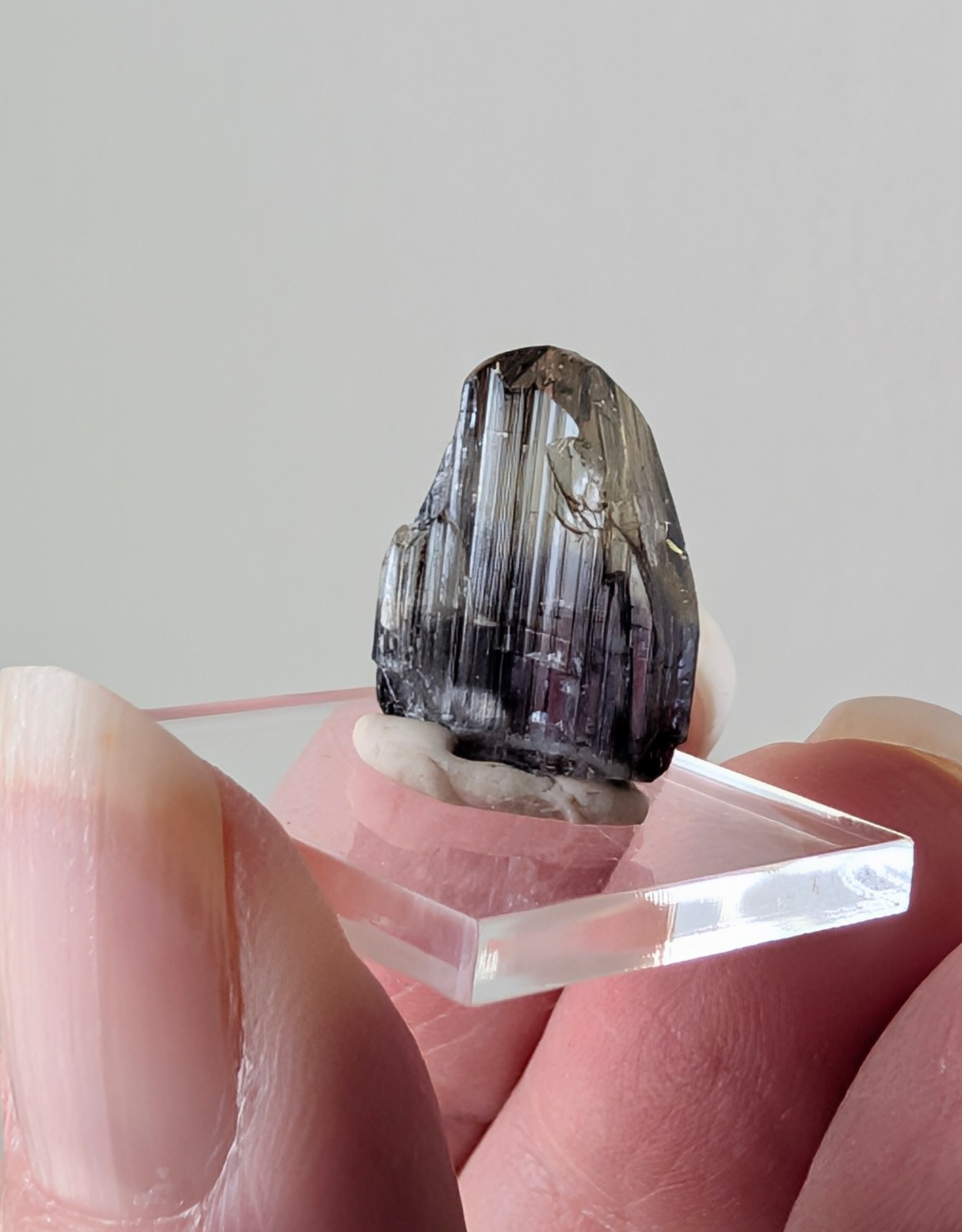 12.5 ct Natural Tanzanite Crystal – Unheated – Merelani Hills