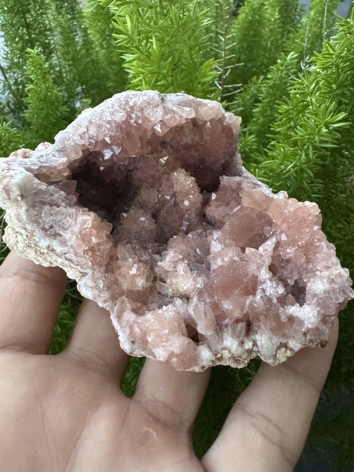 186g Grade A PINK AMETHYST GEODE -La Patagonia Argentina, El Choique Mine