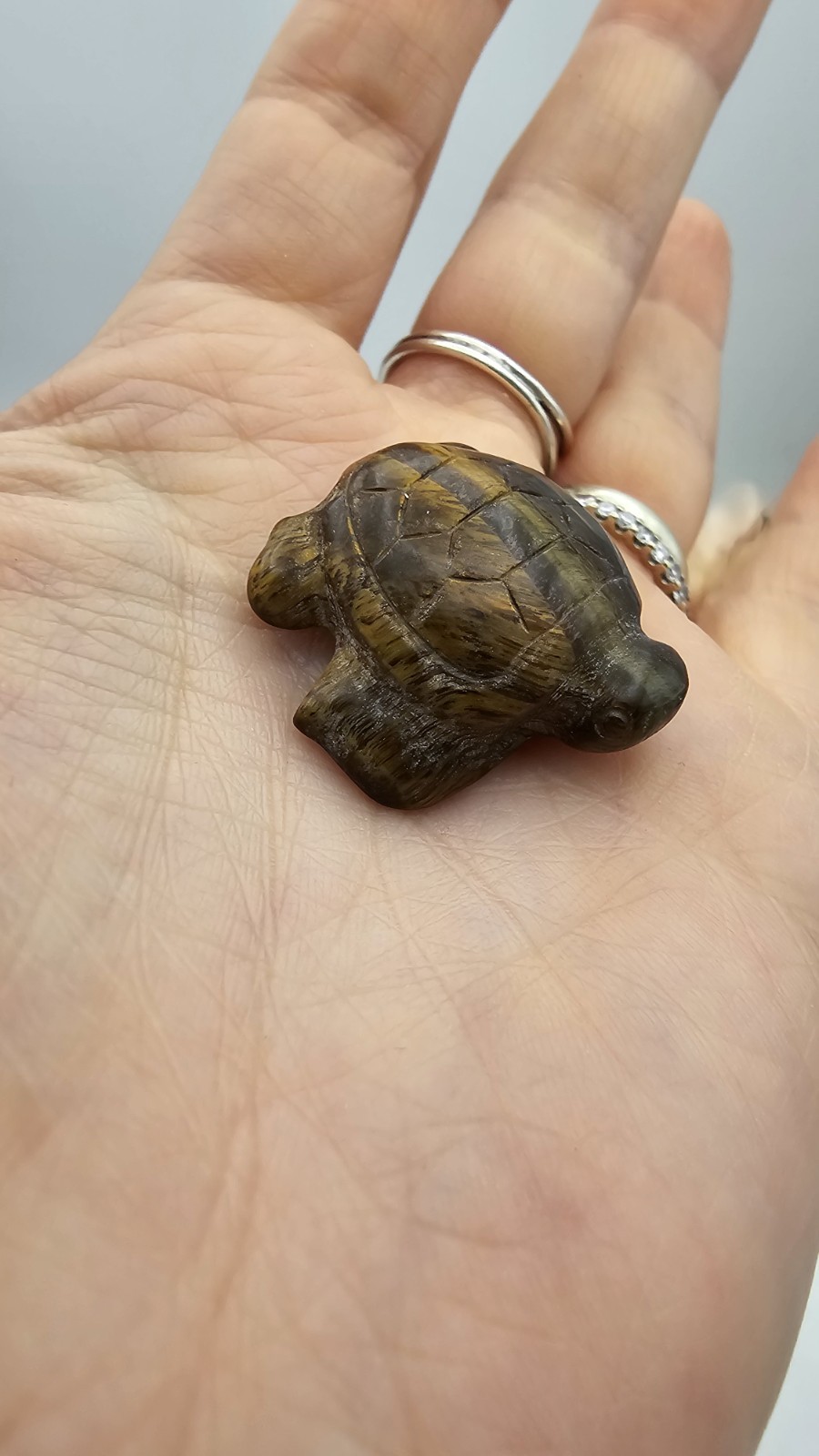Mini tigers eye crystal Turtle Tortoise Carving 11g 2.8cm