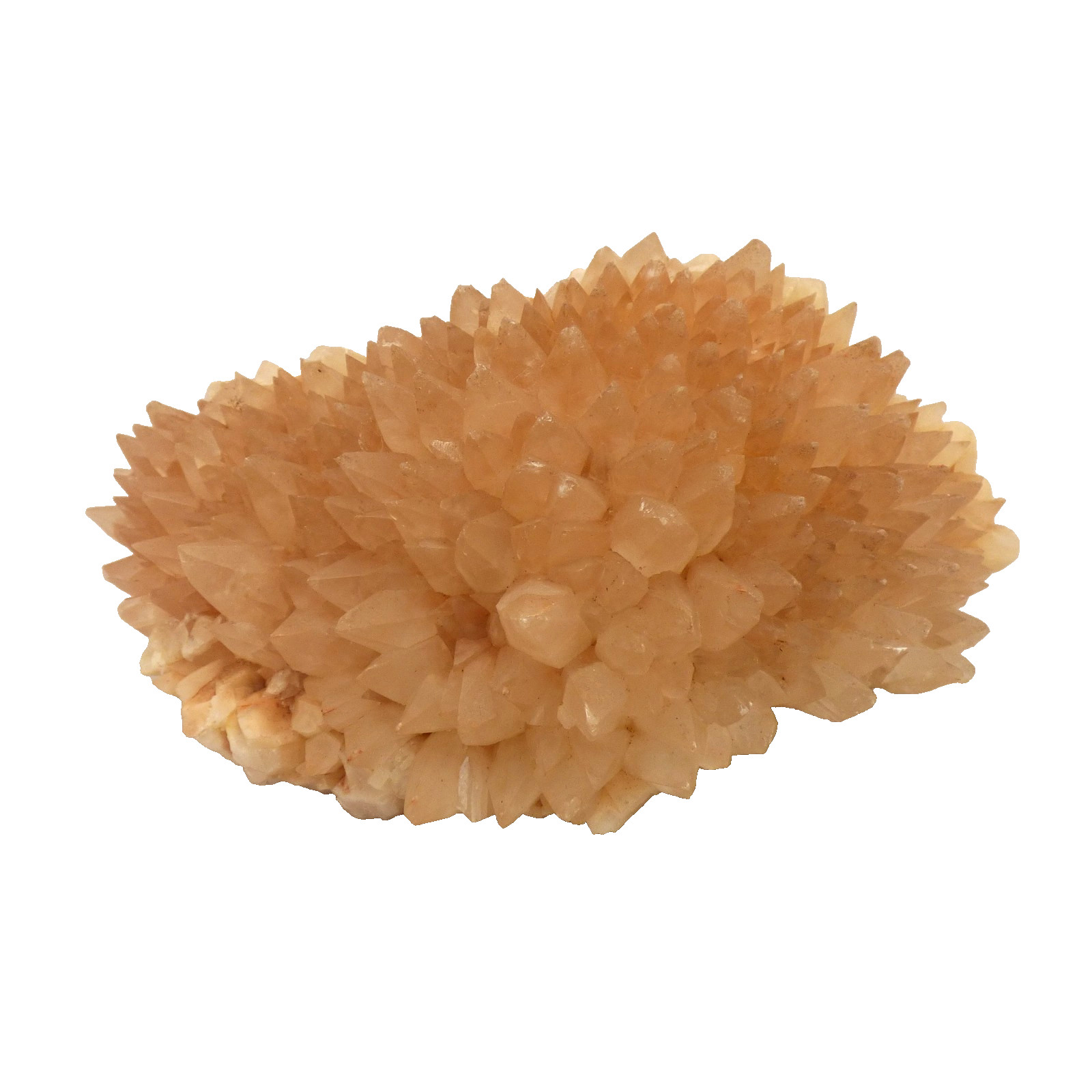 Dogtooth Calcite Cluster Dulcote Quarry Somerset UK Mineral Specimen 2.1kg 18cm