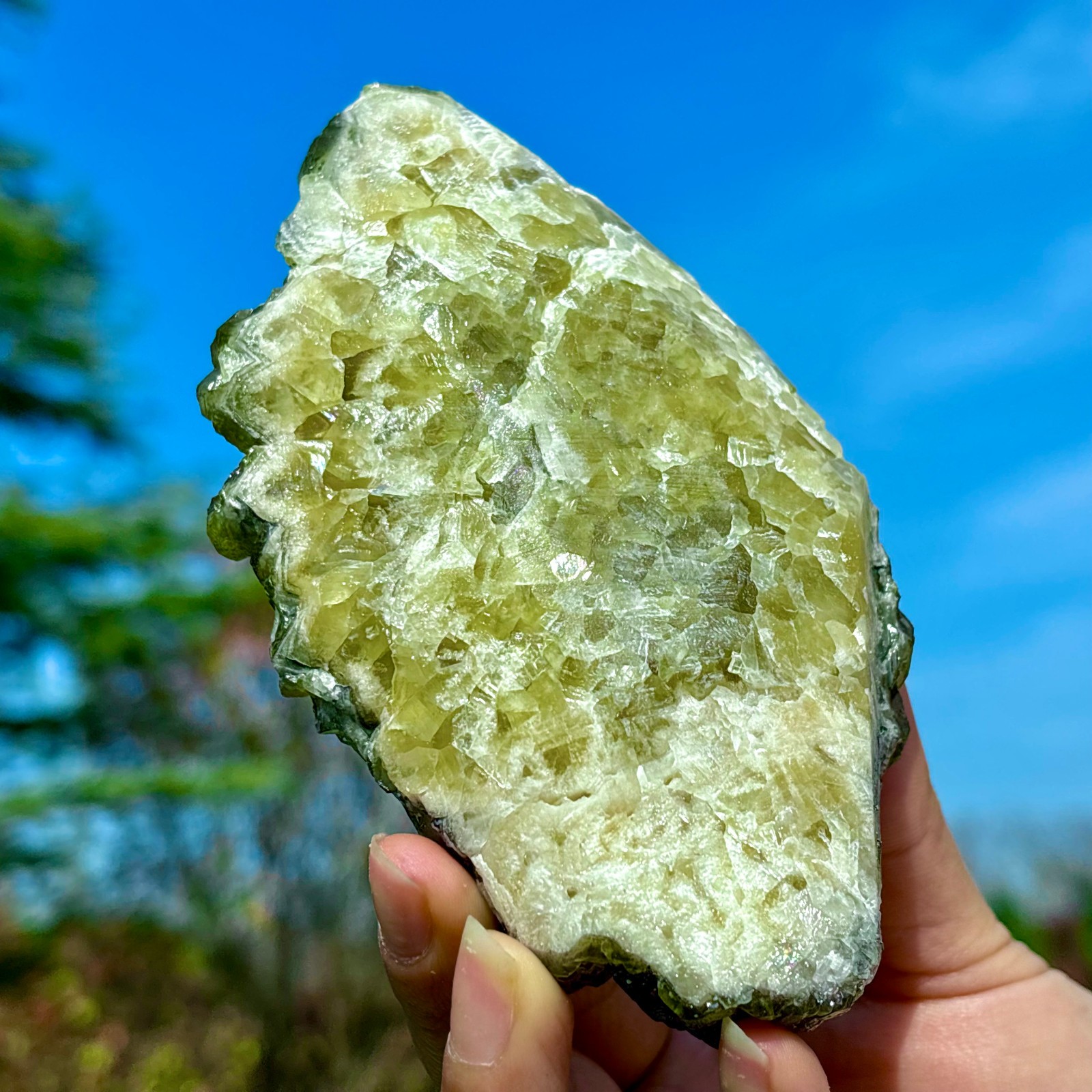 405G Natural Spherical Prehnite Crystal Gem Mineral Specimen&Crystallization