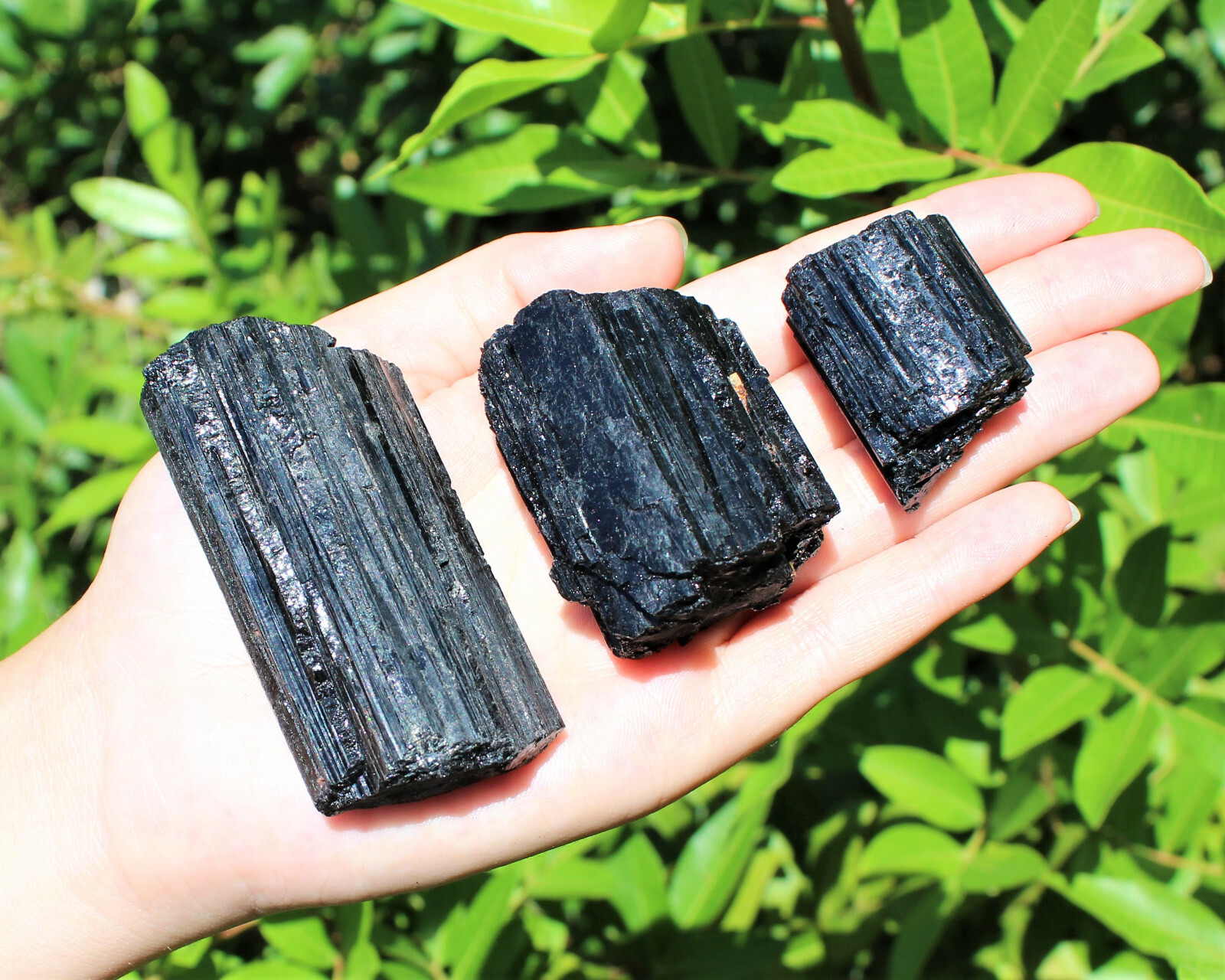 Bulk Extra Grade Shiny Natural Rough Black Tourmaline Rod Log Box 14 – 18 Piece