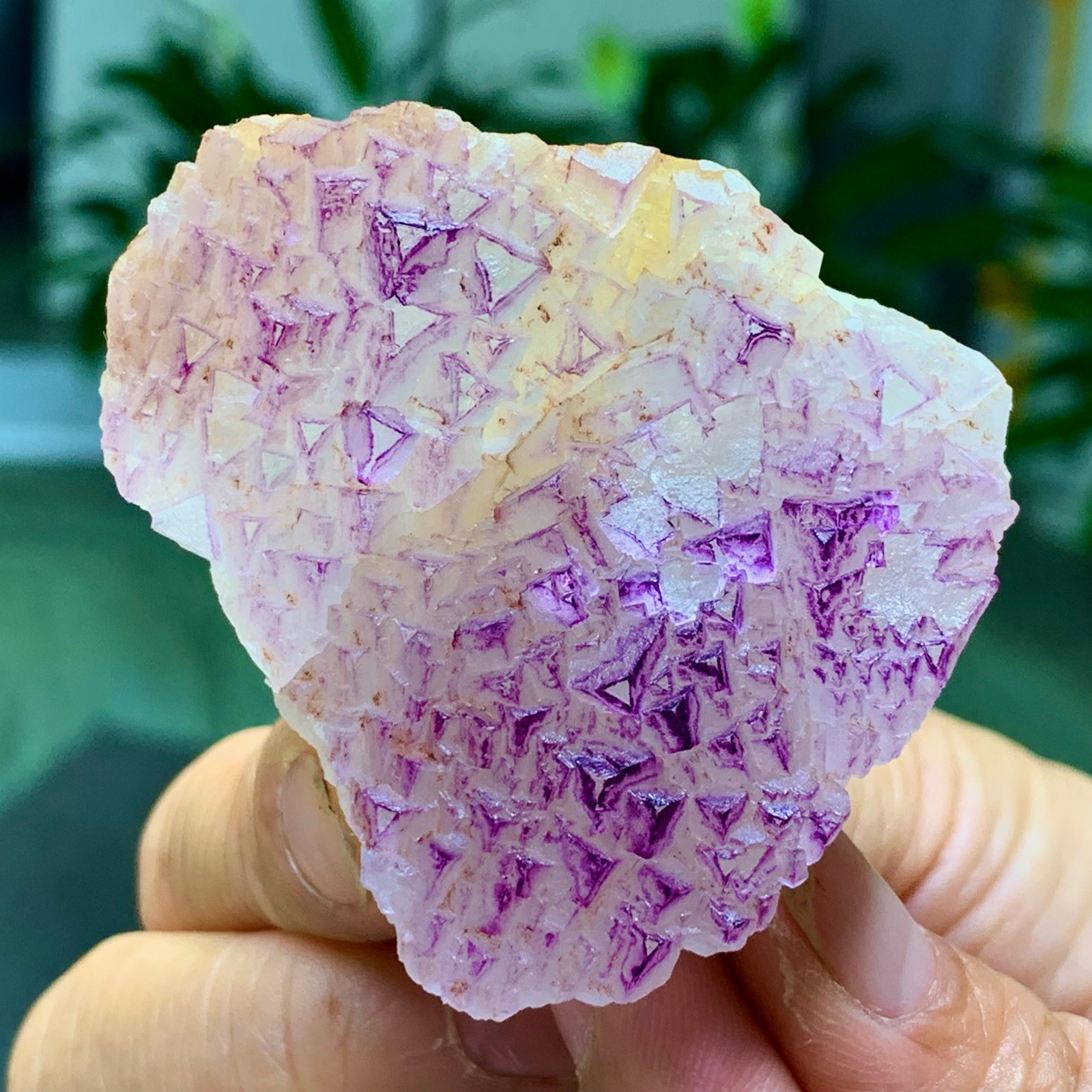 100G Natural fluorite purple edged cubic crystal mineral sample