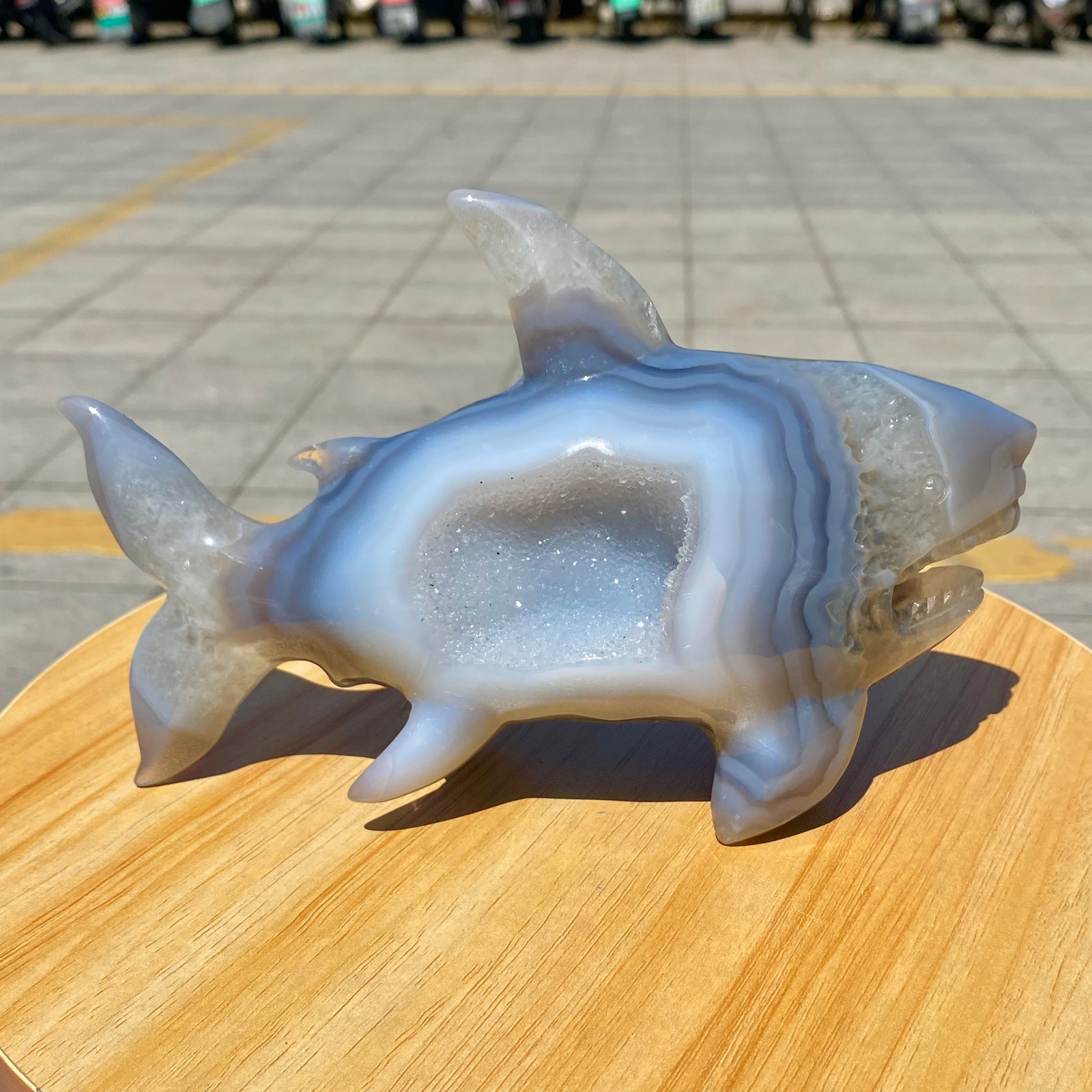 1.8LB Natural Agate Hand Carved Shark Figurine, Ocean Power Crystal Statue