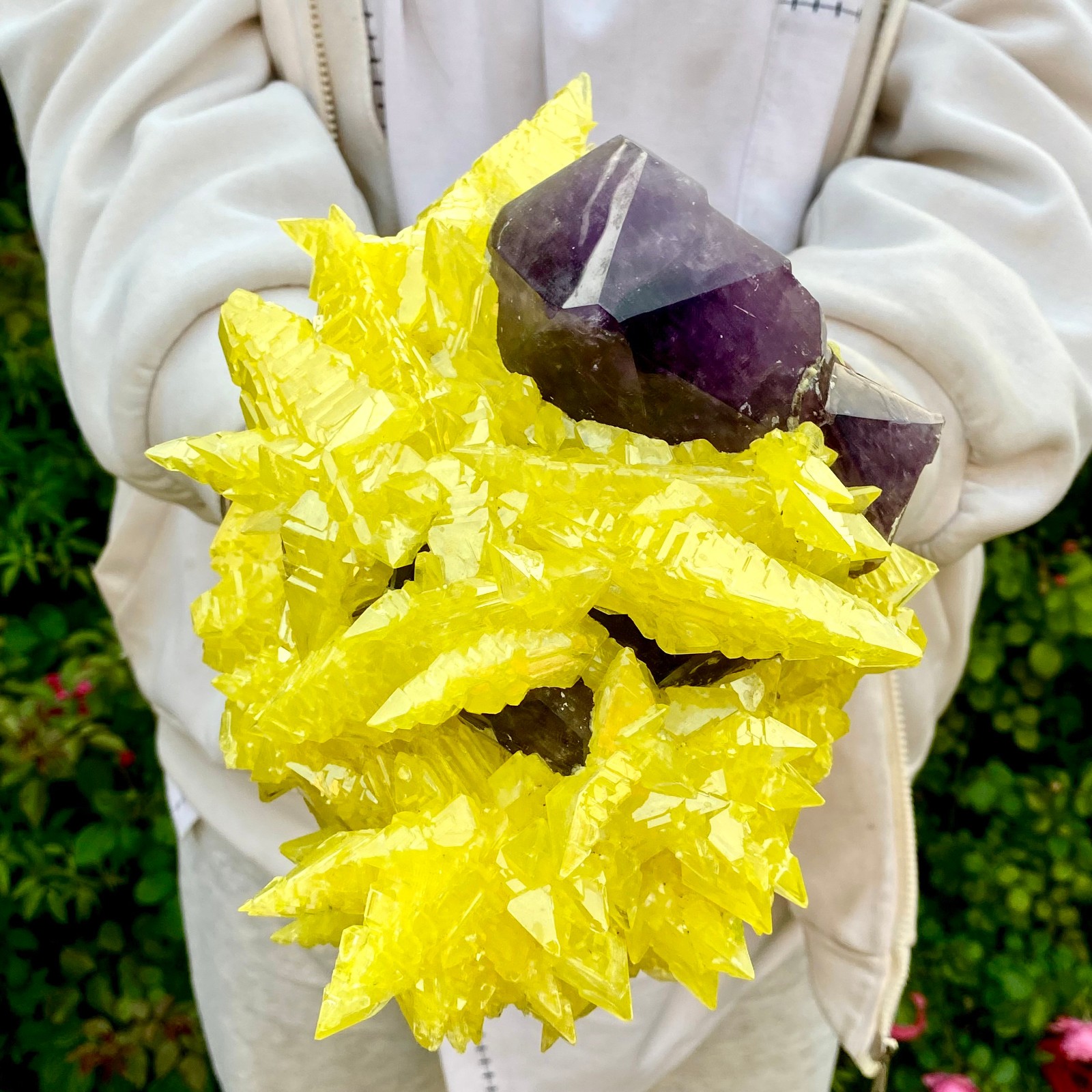 10LB Natural Amethyst & Sulphur Symbiotic Crystal Cluster Specimen
