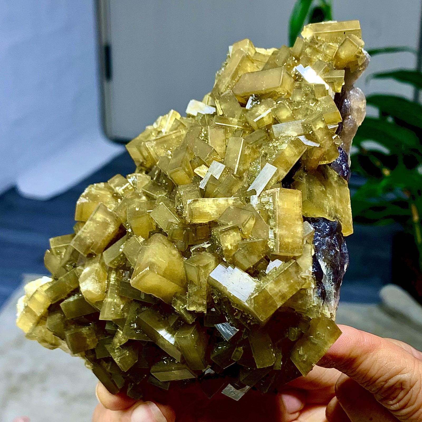 2.36LB Shiny Golden Cuboid Barite Crystal Based on the Purple Spherical Fluorite