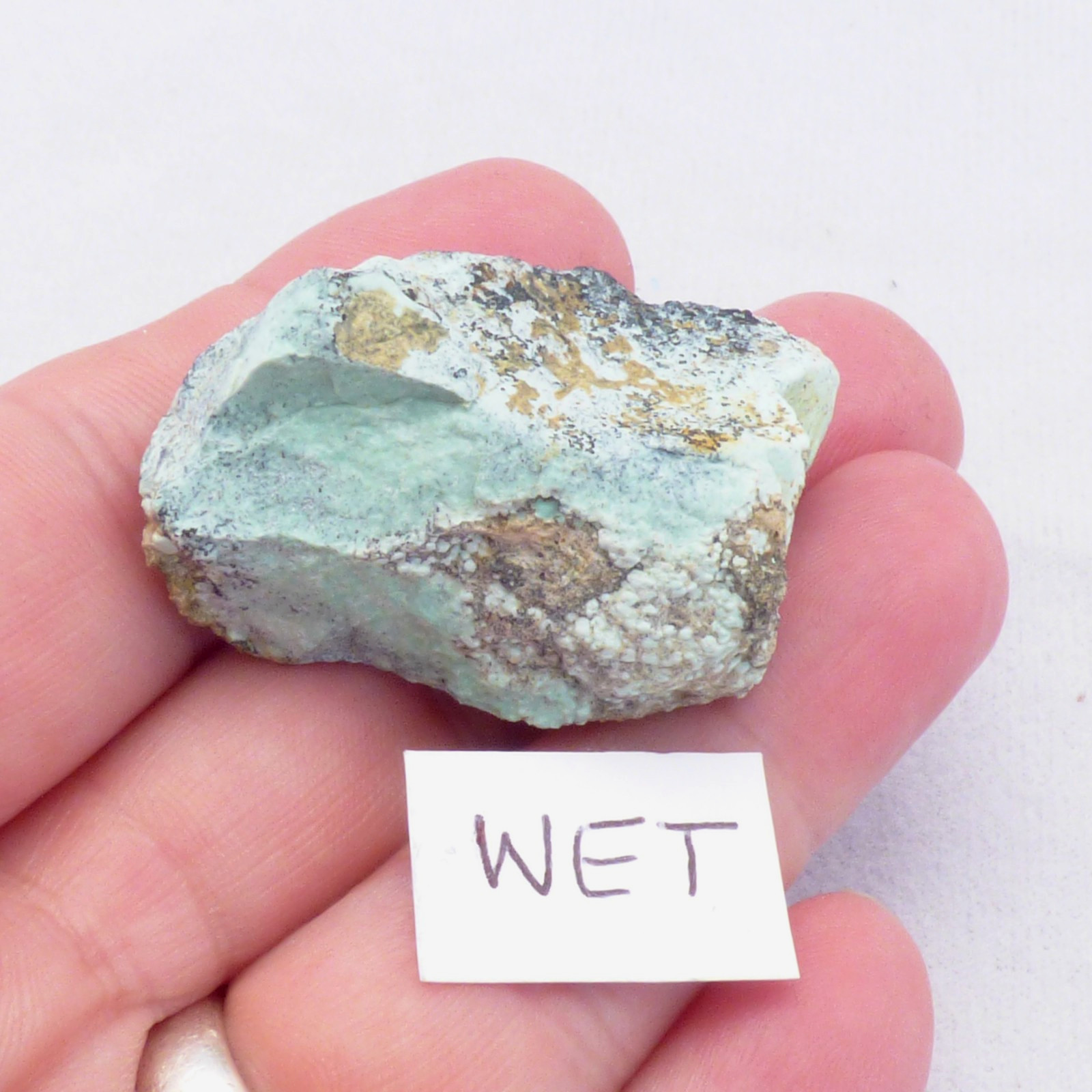 Solid Turquoise Mineral Specimen Island Park Idaho Natural Unpolished 4cm 19g