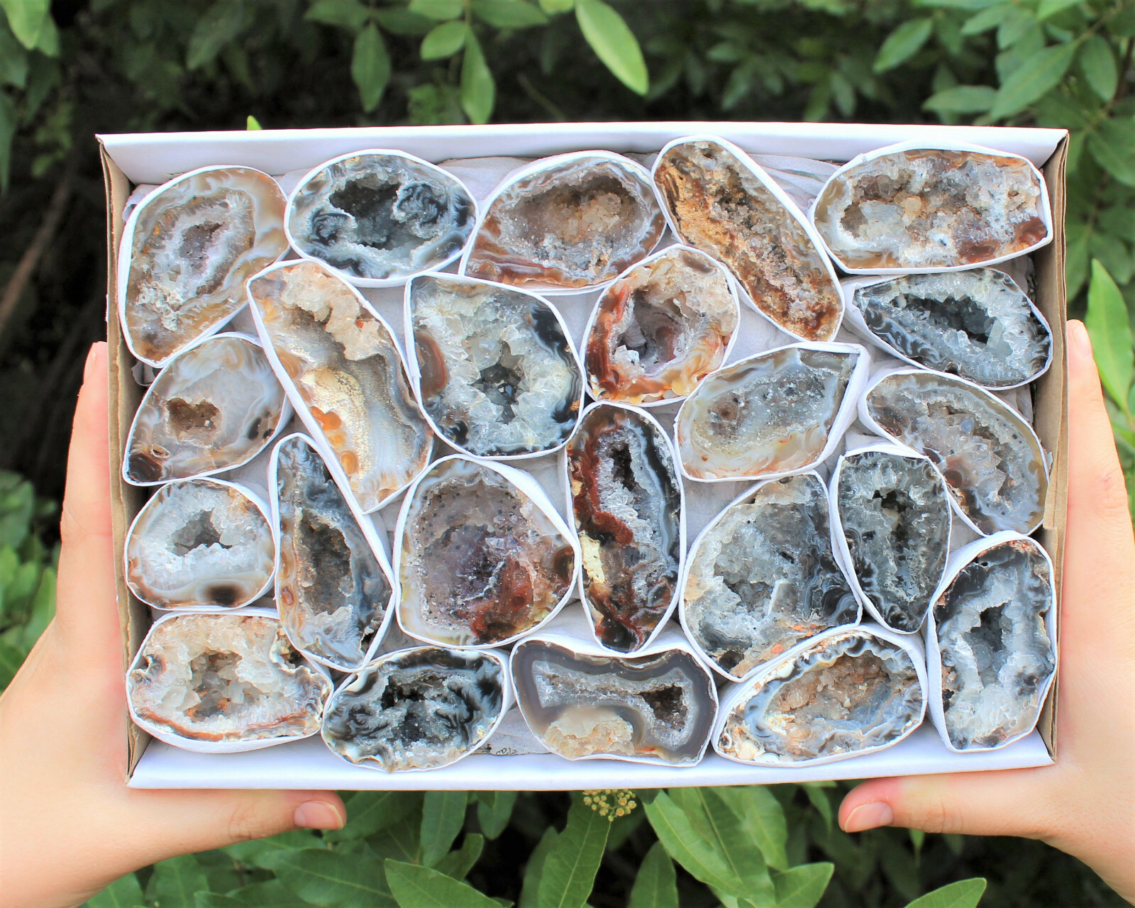 Large Oco Agate Geodes, Natural Crystal Druzy Halves: Choose How Many Pieces!