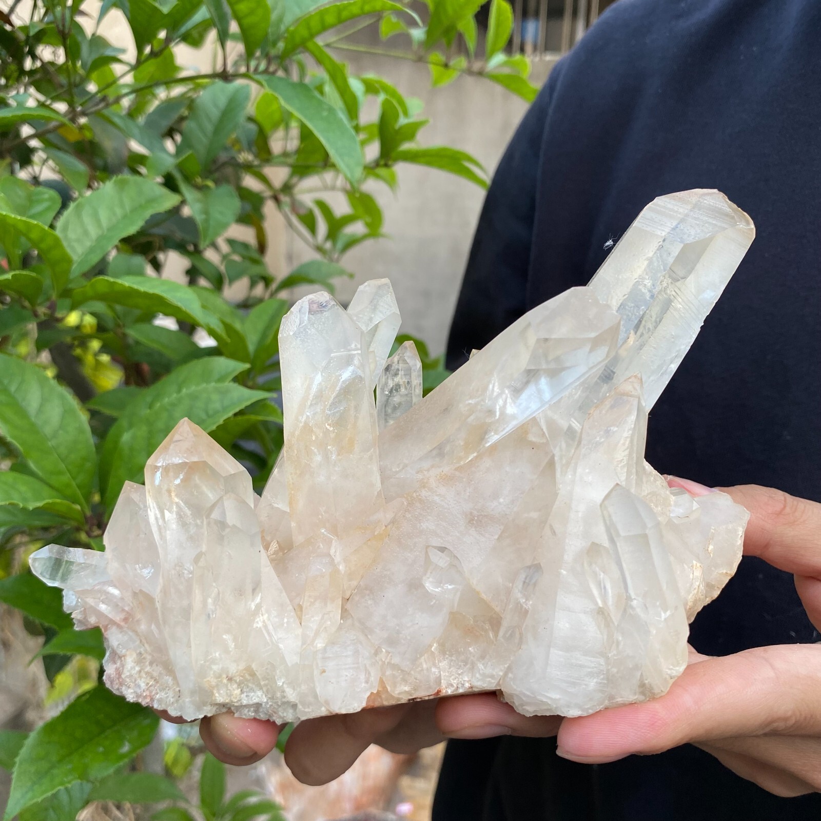 2lb Natural Clear White quart Crystal Cluster Raw Healing Specimen
