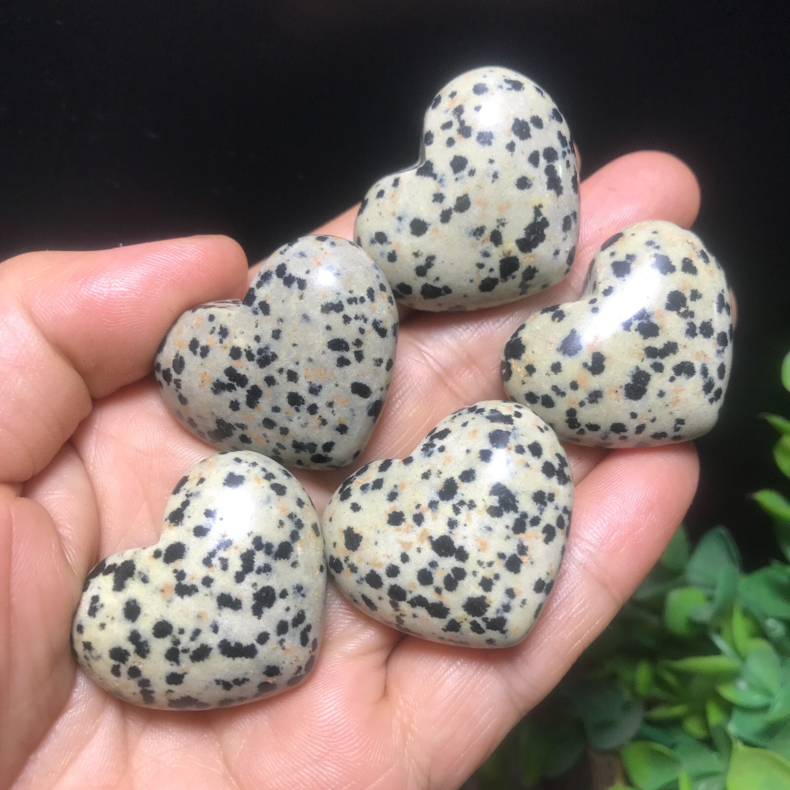 5PC 84g Natural Dalmatian Jasper Crystal Heart Crystal Home Office Decorative