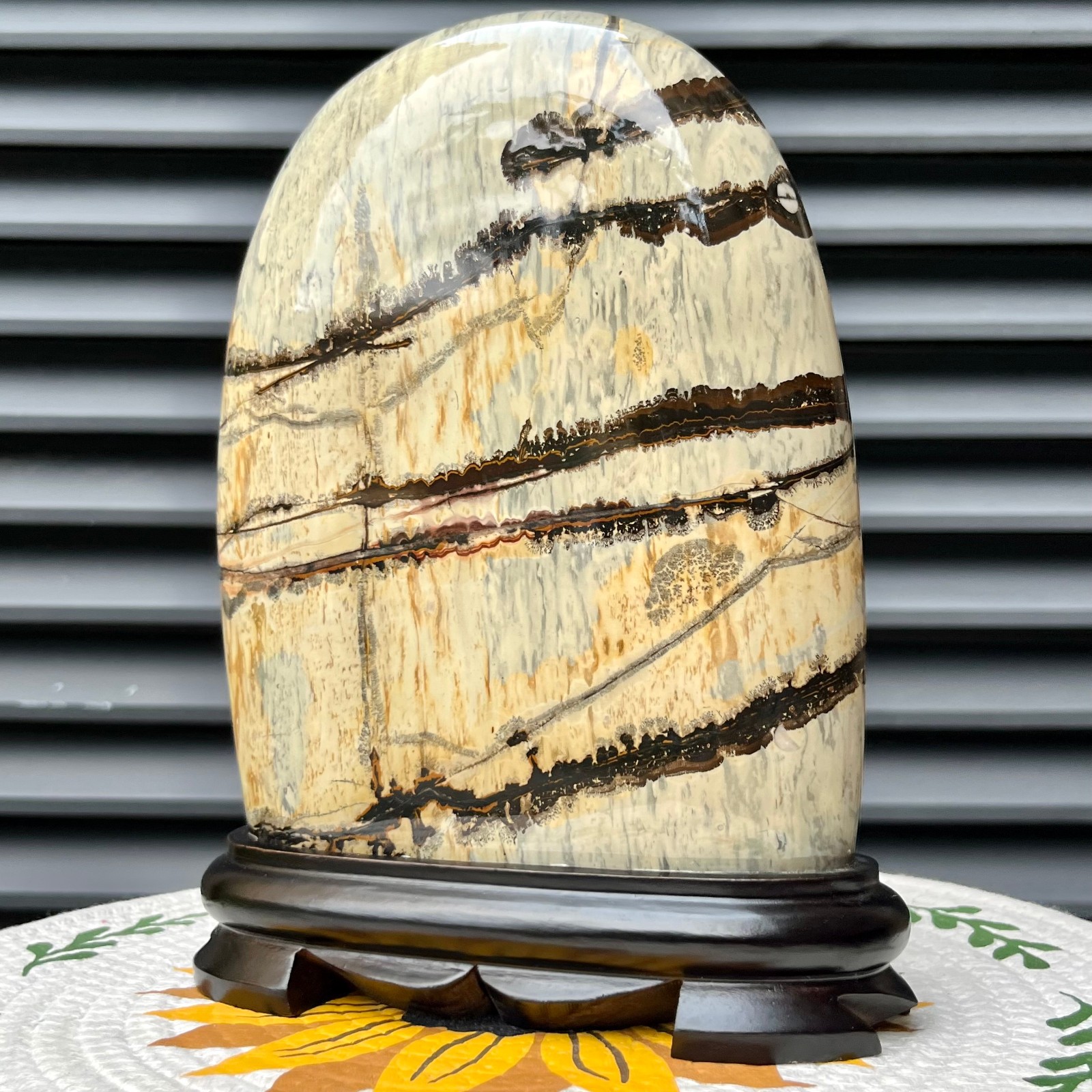 5.3 lb Landscape Stone Polished Arc Mineral Specimen Collectible Display Art