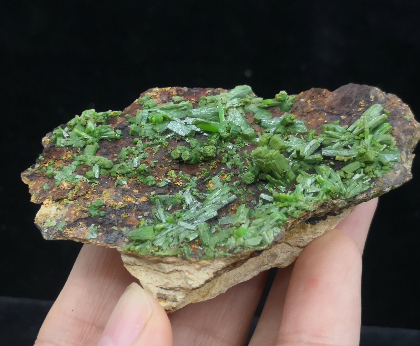 73mm New find ‘Matcha-Green’ Pyromorphite on matrix