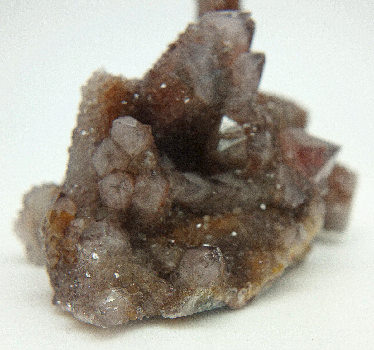 Dark Amethyst Spirit Cactus Quartz Crystal Cluster ~ South Africa