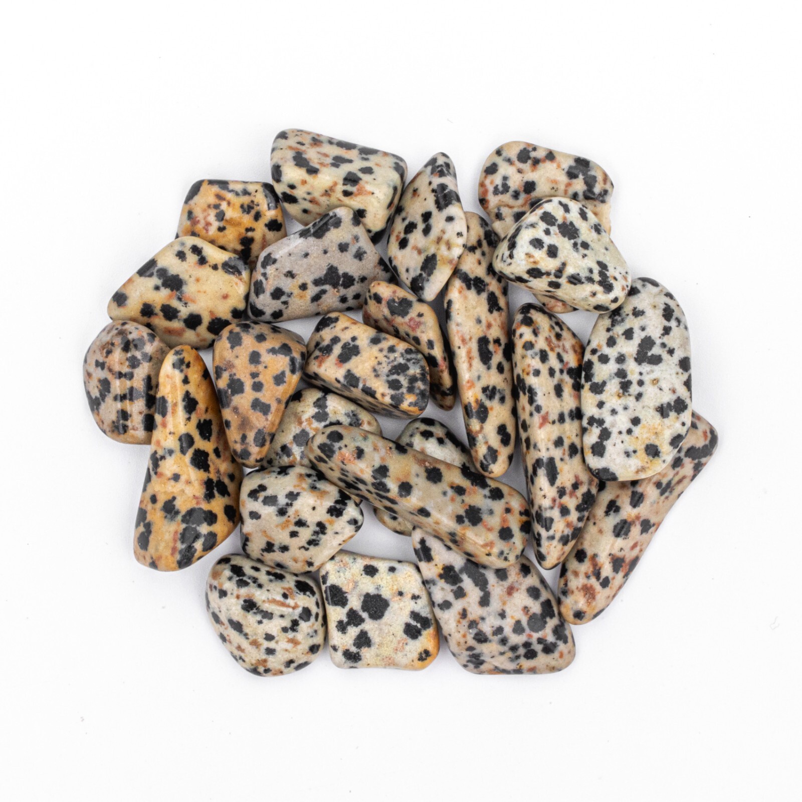50g Tumbled Dalmatian Jasper Gemstone Crystals 15-30 Stones Bulk Gems Wholesale