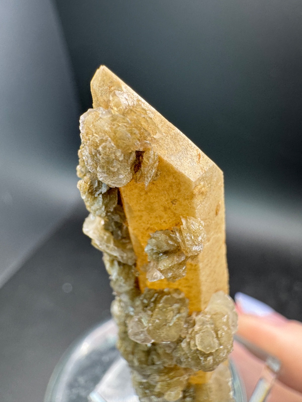 6631 Yellow Candle Quartz Point with Petal Calcite Inner Mongolia 28g
