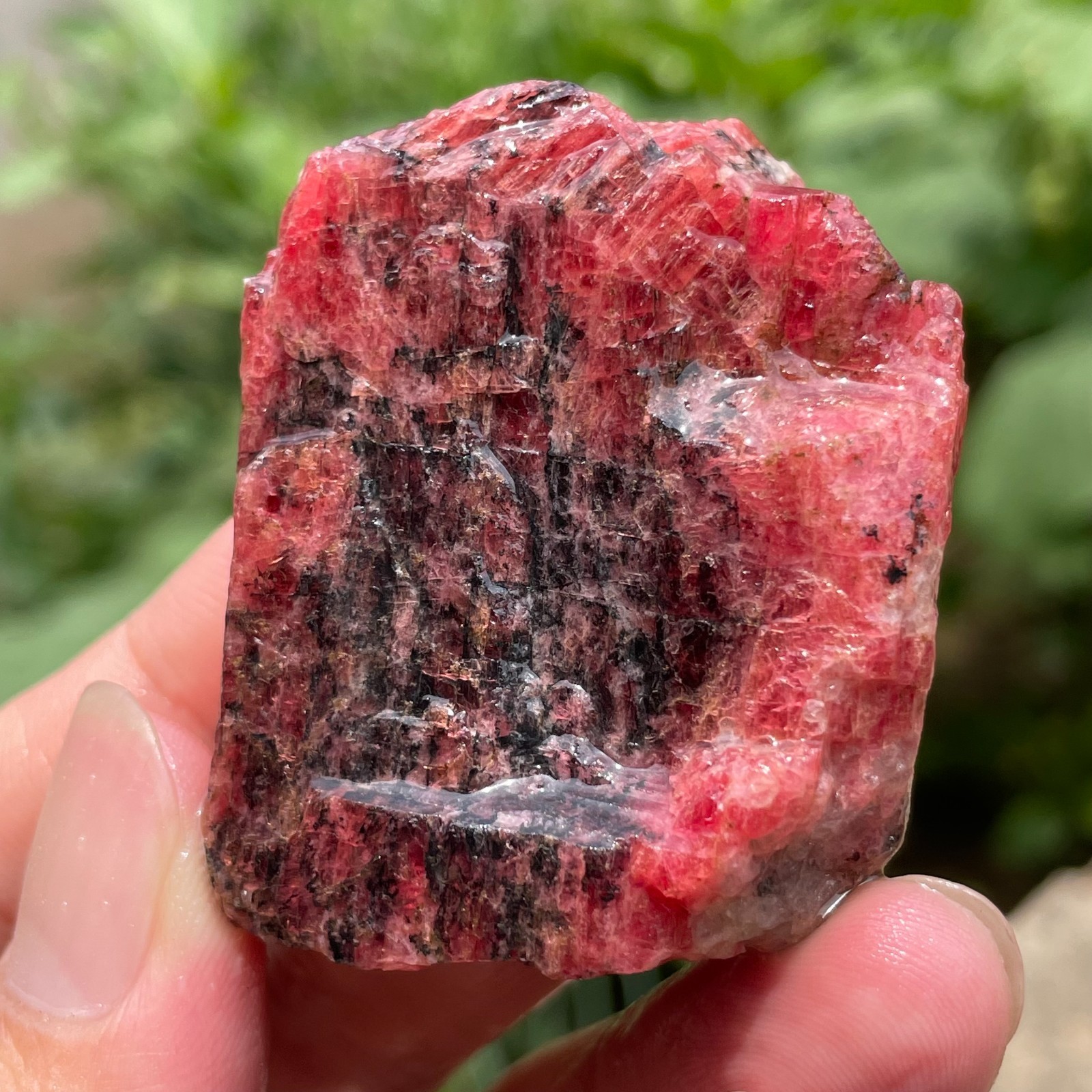 74g Small Raw Ore Red Black Rhodonite Quartz Gemstone Mineral Specimen