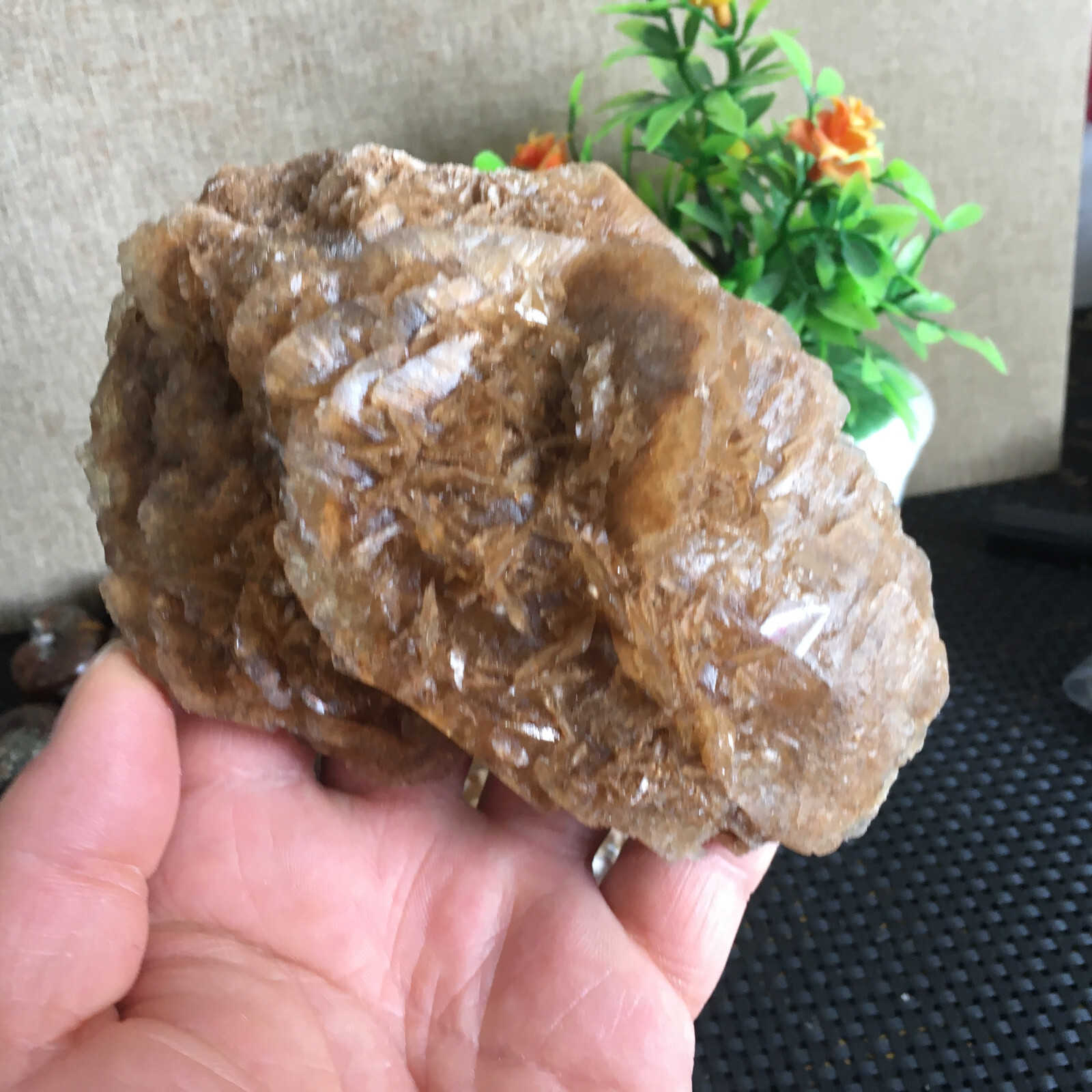 449g Natural Crystal Stone Desert Rose Specimen Decoration B1562