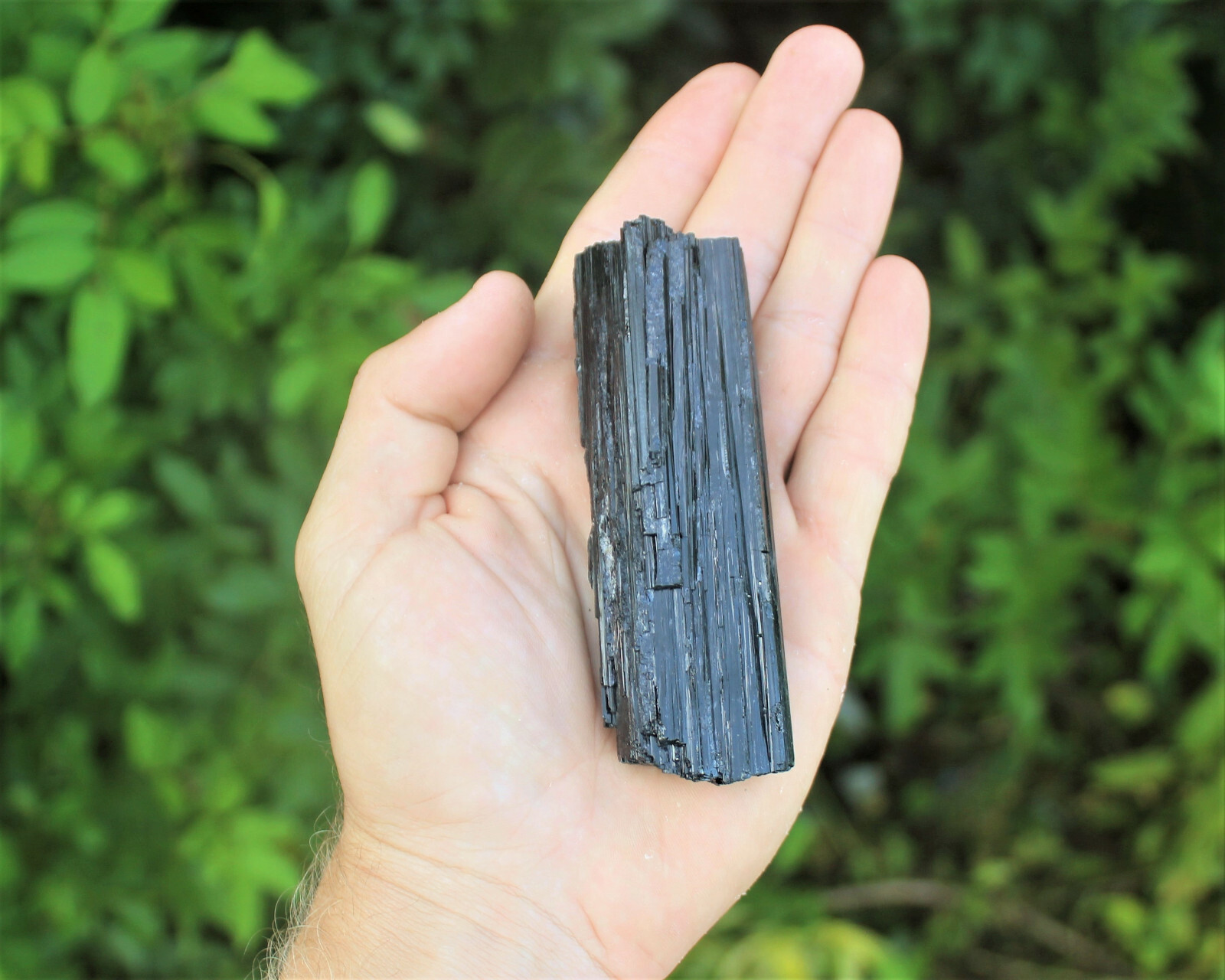 Large Black Tourmaline PREMIUM EXTRA A GRADE Shiny Rough Rod Log (3 – 4 oz)