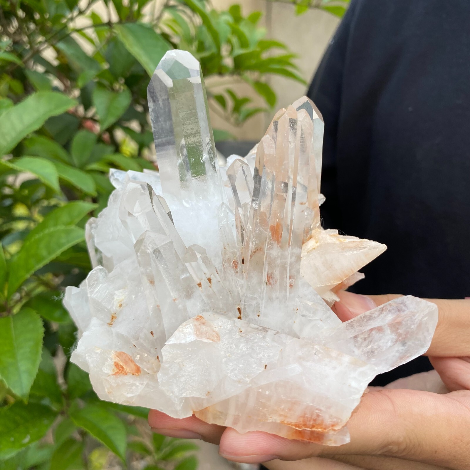 1.6lb Natural Clear White quart Crystal Cluster Raw Healing Specimen