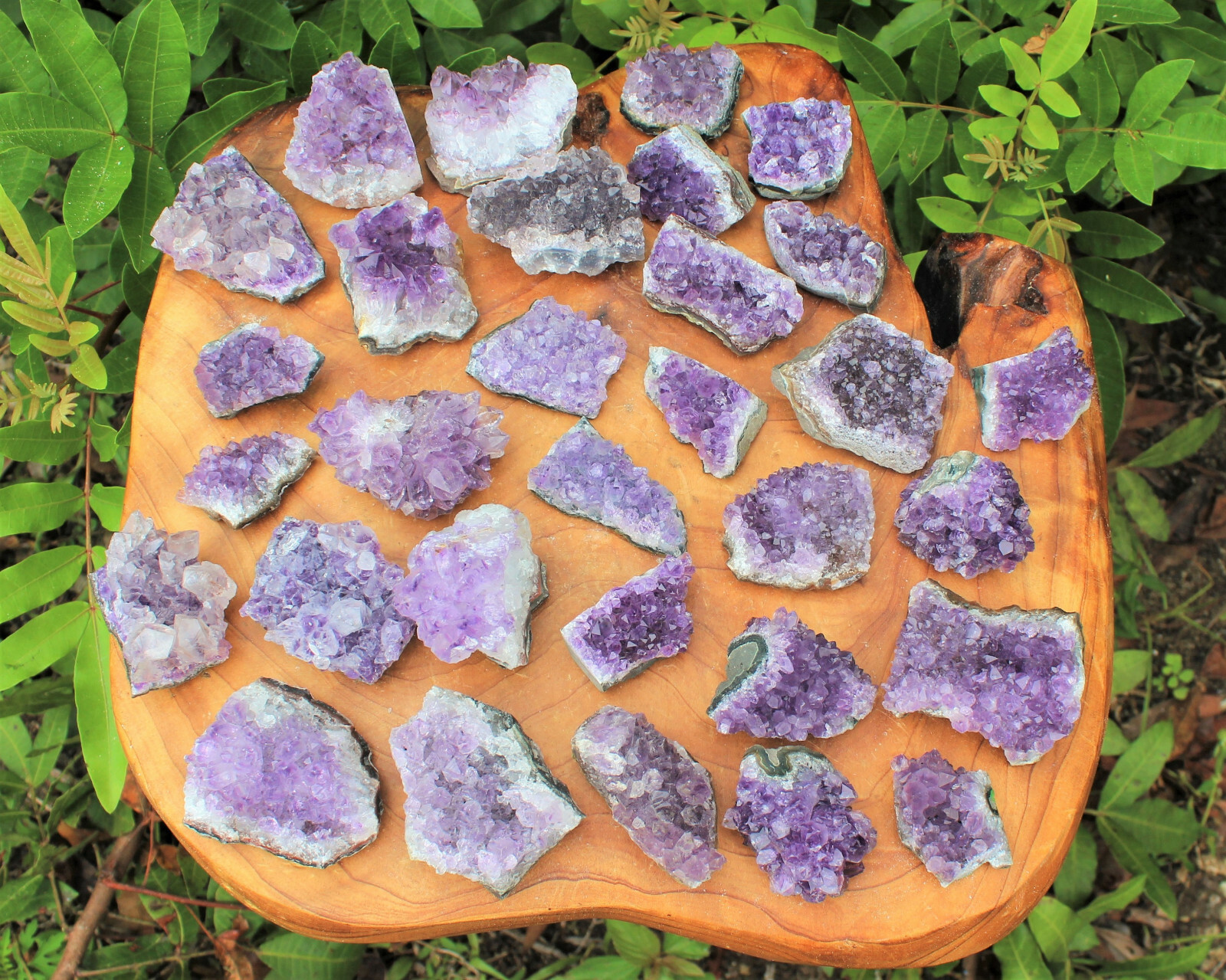 Bulk Lot 1 Kilo (2.2 lb) Amethyst Crystal Cluster Small Specimens 15 – 25 Pieces