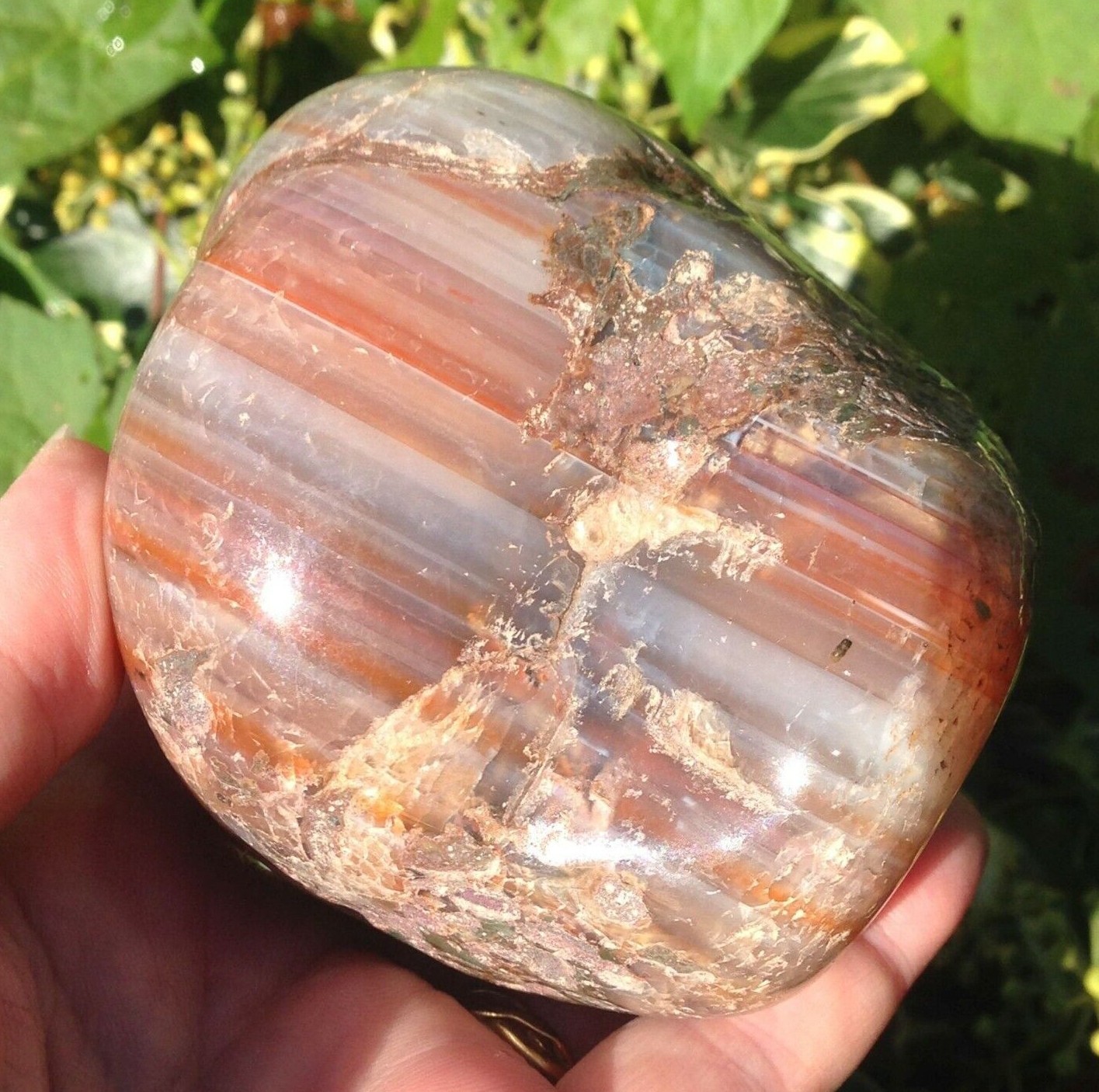 Large Rare Sardonyx Crystal Banded Agate Helps Stable Marriage 594g 9.5×7.3x6cm