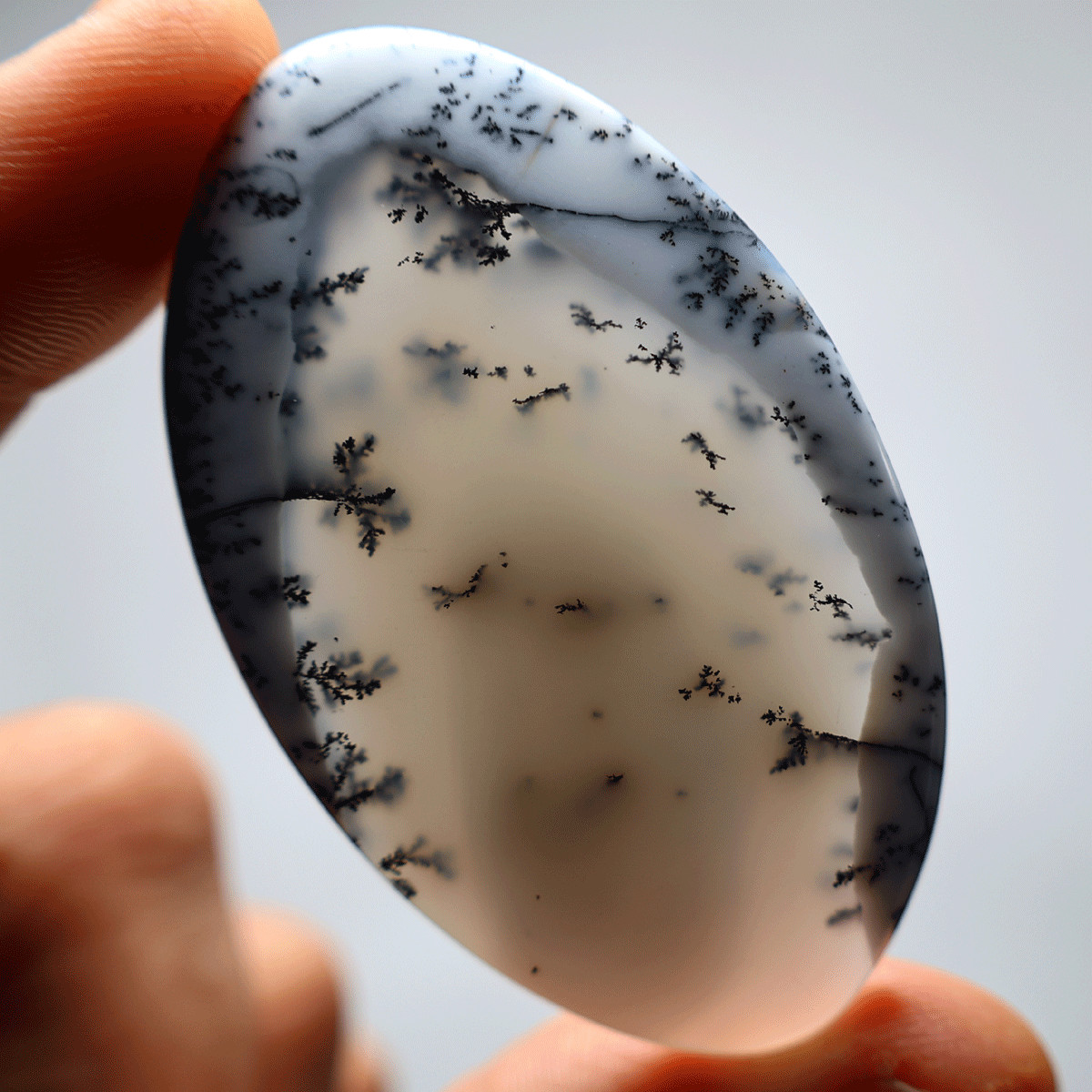 20g Australian Natural Dendrite Opal Collectible High Quality Crystal Palmstone