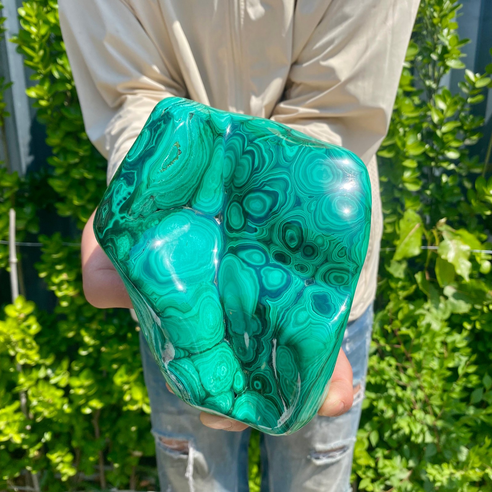 4.54LB Natural glossy Malachite transparent cluster rough mineral sample