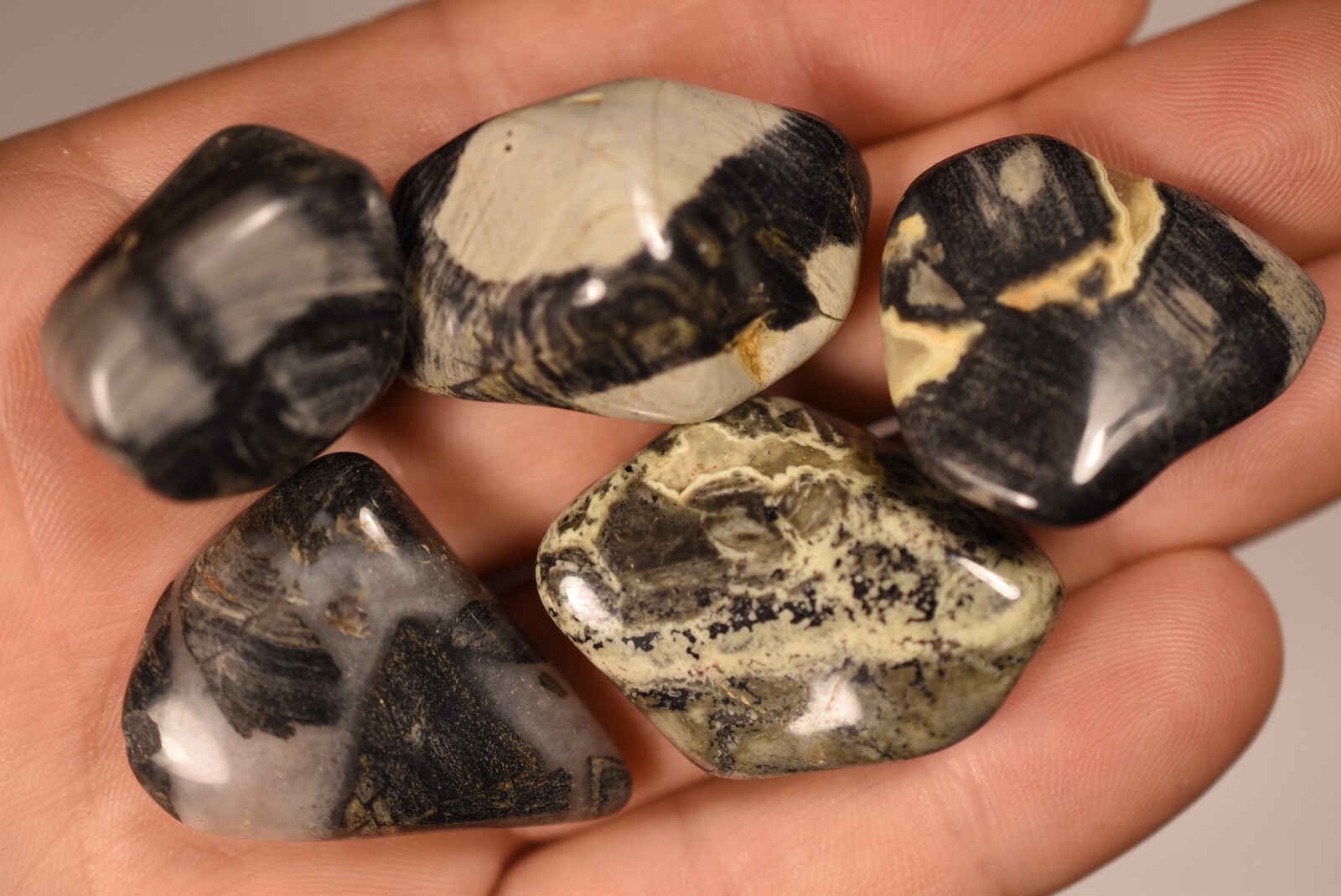 5 *SILVER LEAF JASPER* Tumbled Stones 2-4cm 71g Natural Stone