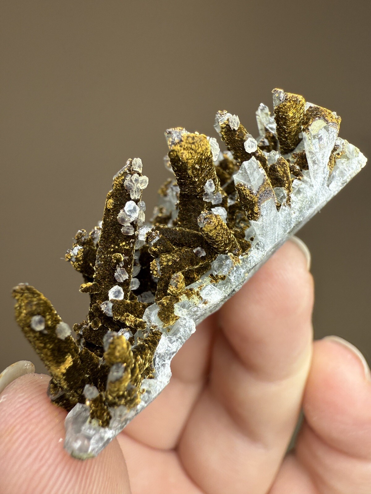 STUNNING Druzy Calcite & Bronze Velvet Chalcopyrite on Quartz Cluster • China