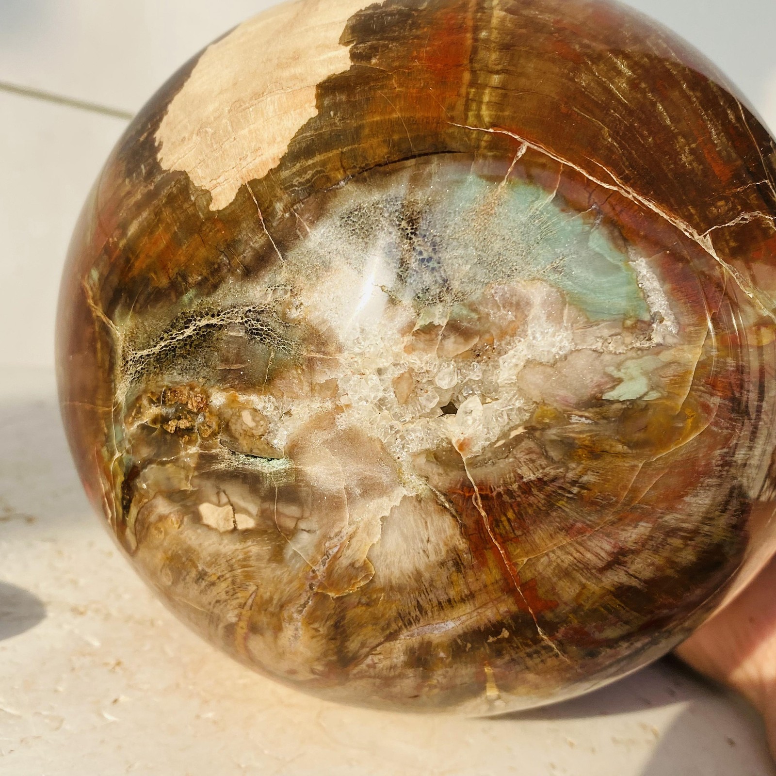 Natural Petrified Wood Egg Quartz Crystal Fossil Mineral 6340g