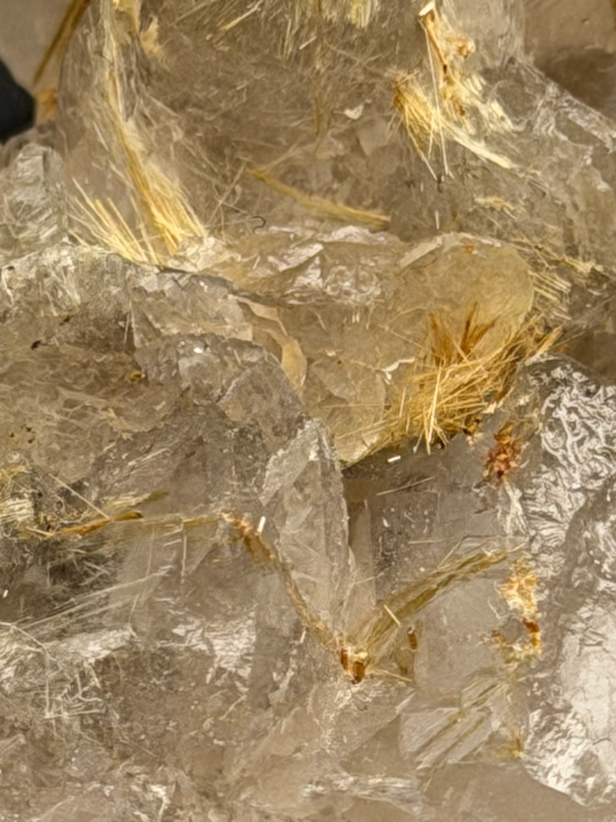 Golden Rutilated Quartz Cluster with Both Internal and External Rutile Sprays