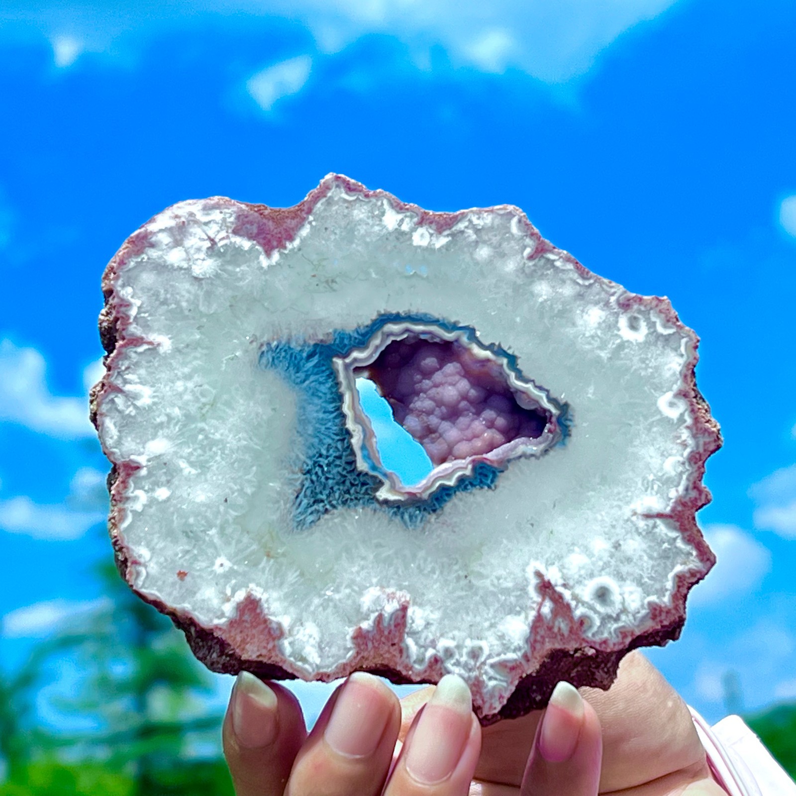 212G Natural Colorful Lace Agate Geode Slice Extra Large Gem From Argentina