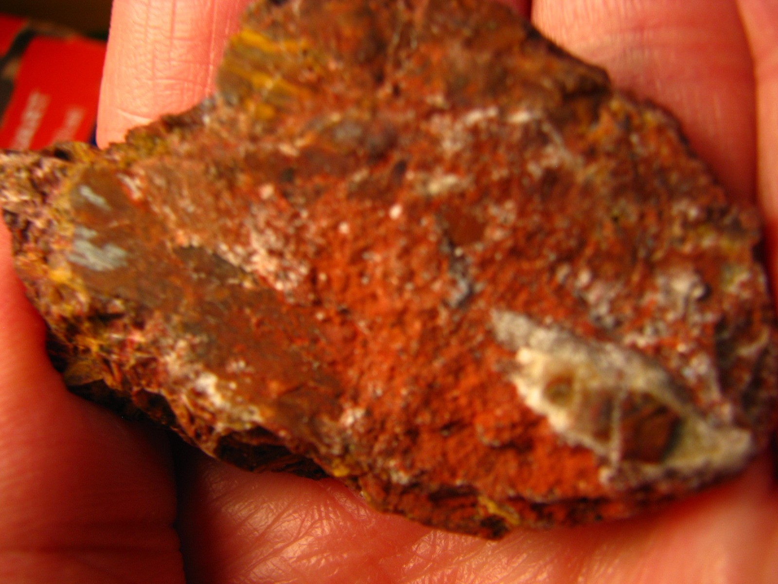 49g 2.4×1.6x.7inch RED PIETERSITE ROUGH W/YELLOW NAMIBIA #186