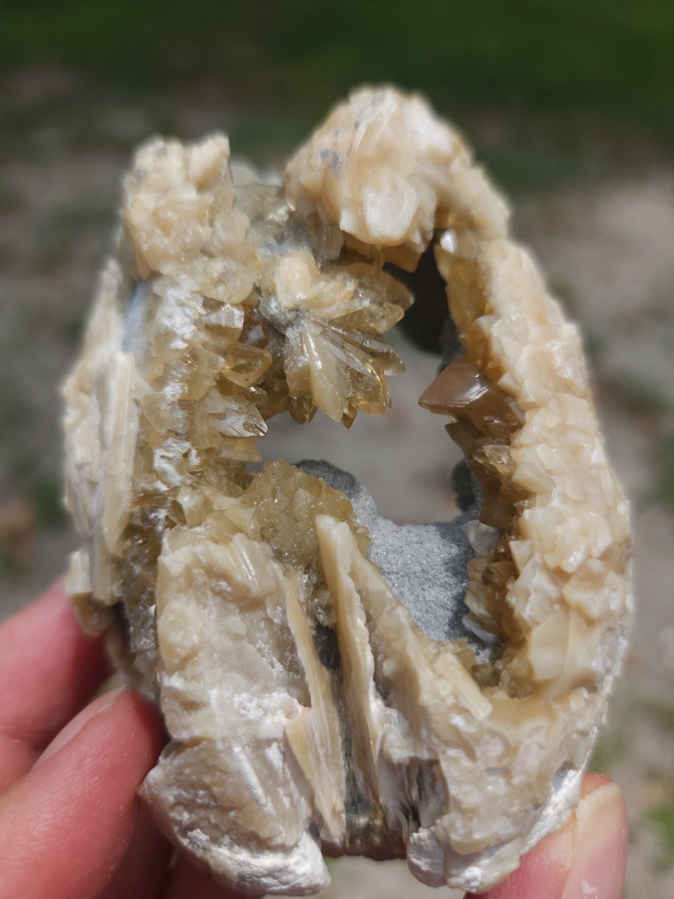PAIR Calcite Crystal WHELK AND CLAM Shell Fossil Rucks Pit Florida dogtooth UV