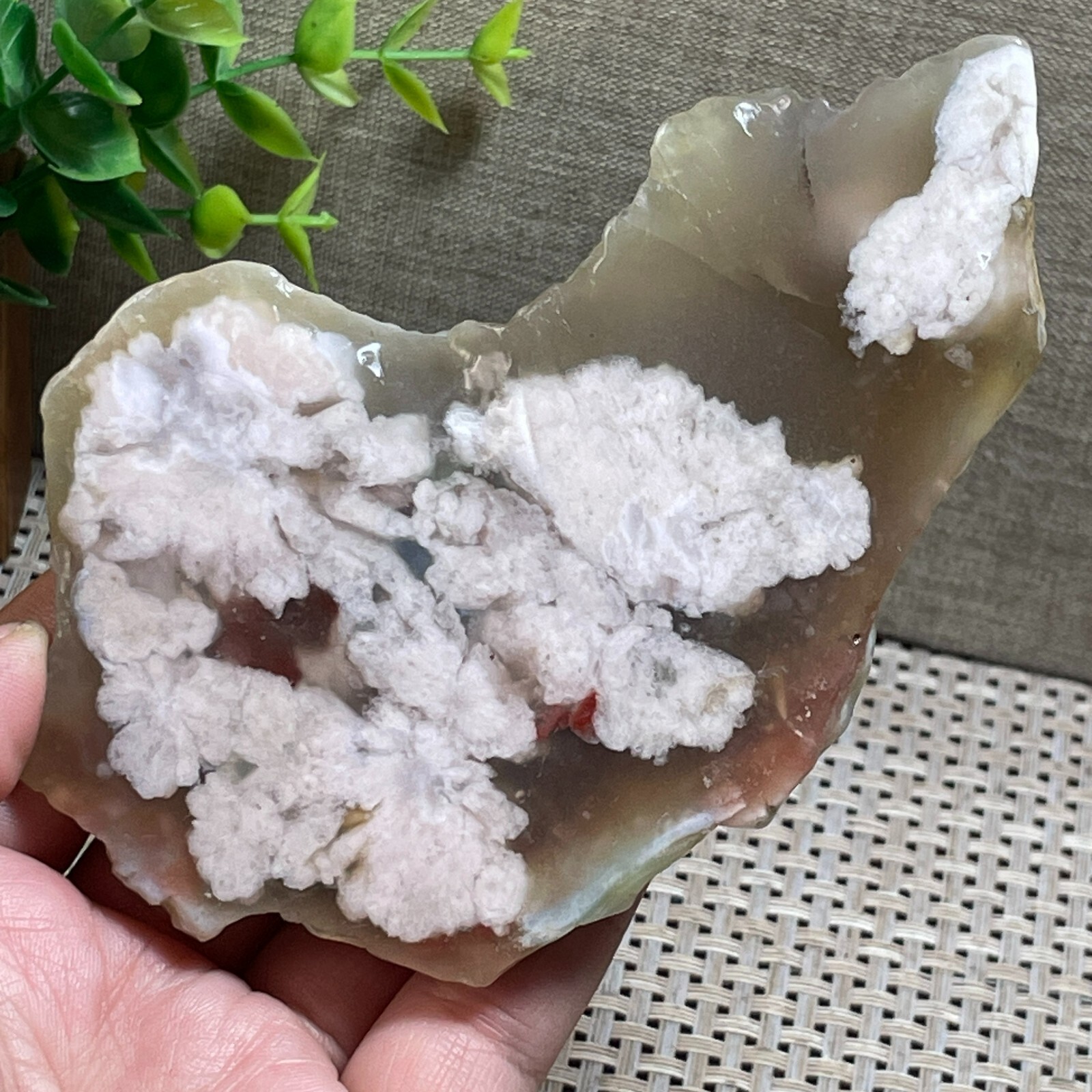 Natural Snowflake Cherry Blossom agate Rough Polished Mineral Specimen 177g A43