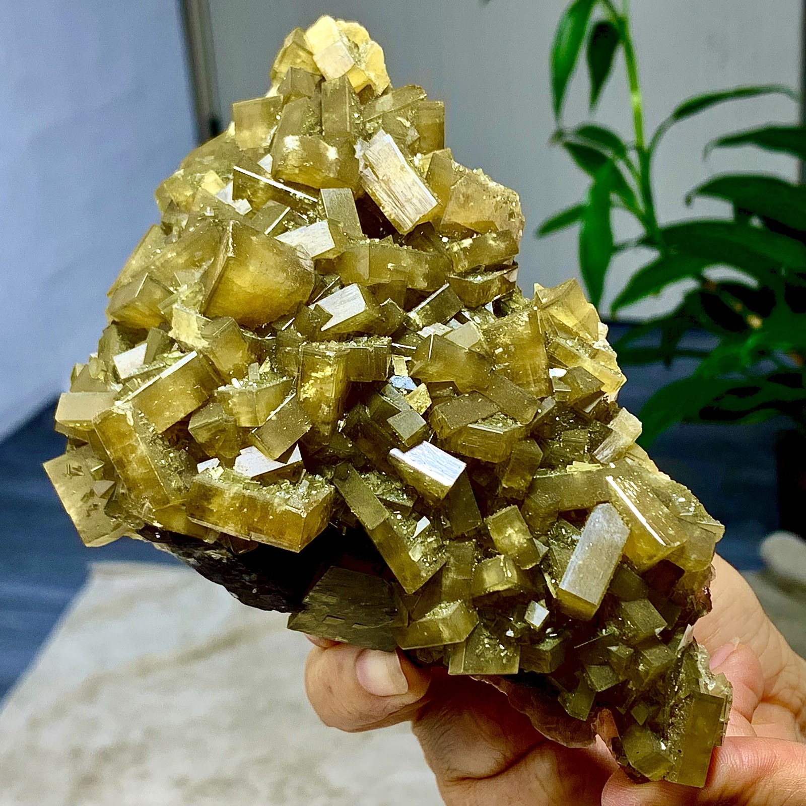 2.36LB Shiny Golden Cuboid Barite Crystal Based on the Purple Spherical Fluorite