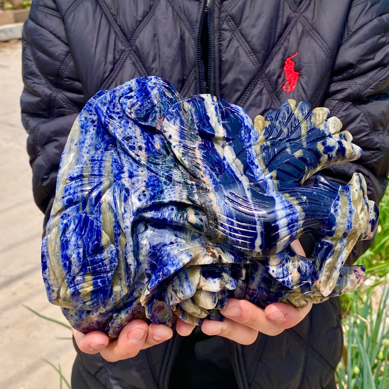 6.6LB Natural Blue Lace Agate Hand Carved Phoenix Figurine Gemstone Decor