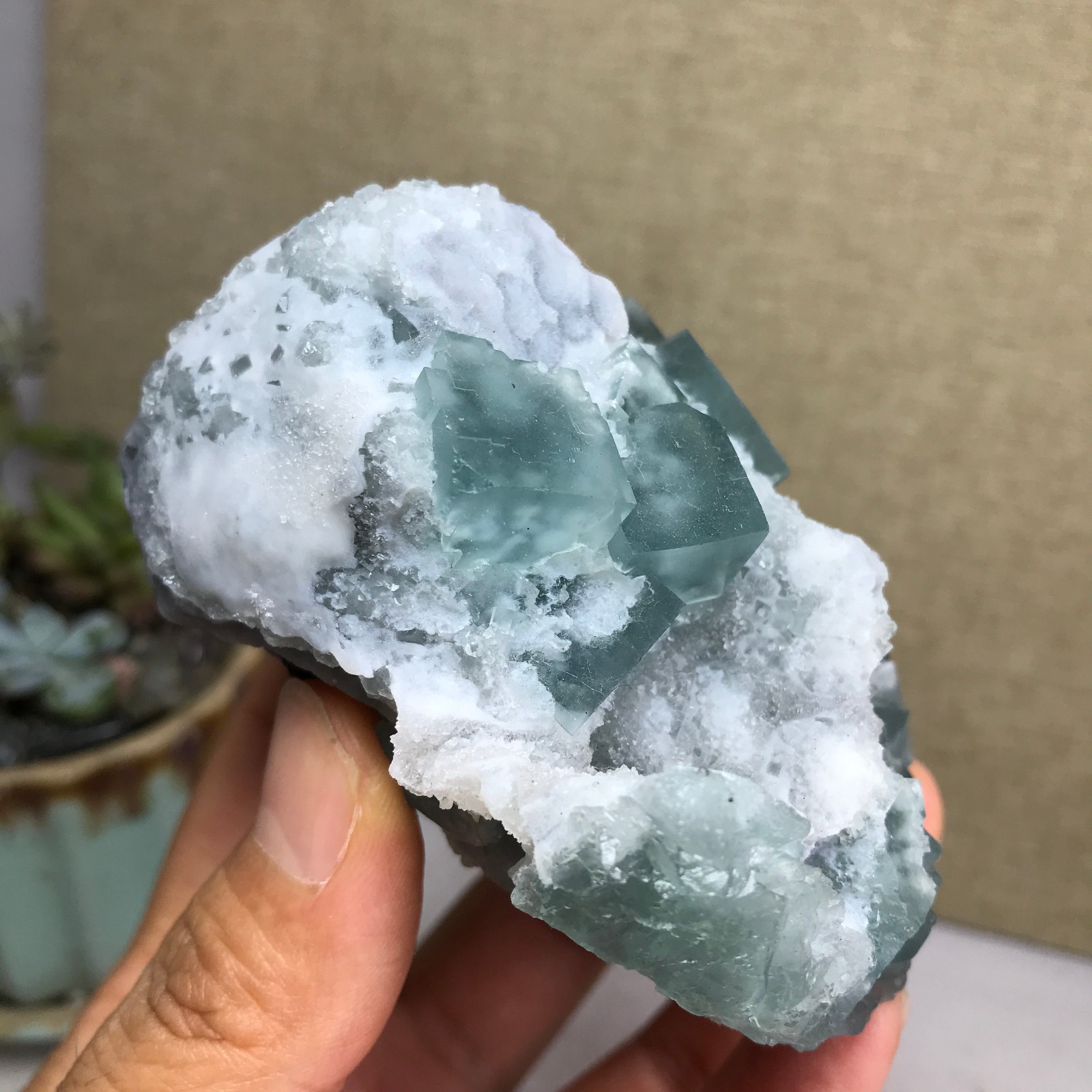 271g NATURAL Green Cubic FLUORITE paragenesis Crystal Cluster Specimen A4776