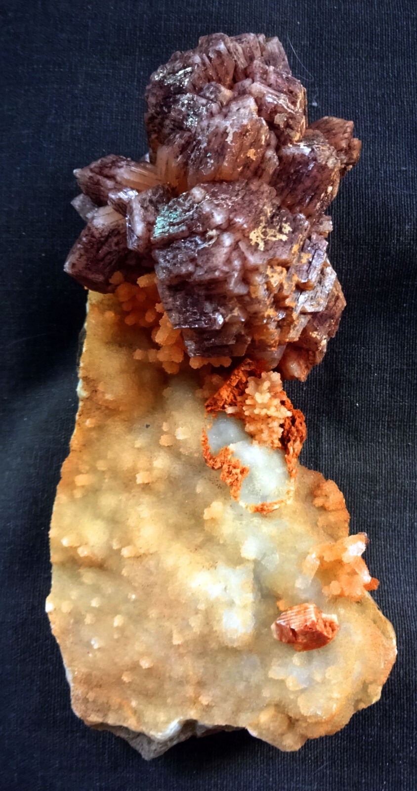 RED BROWN STILBITE BLEDS W/ CORAL CHALSEDONY FORMATION OF INDIAN MINERAL