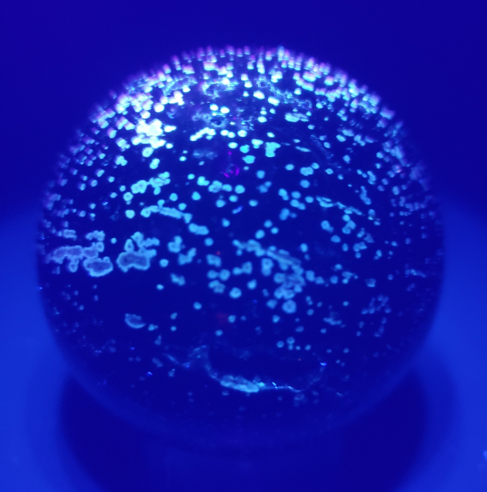 2.1″ Natural 8th Vein Orbicular Ocean Jasper Crystal Sphere Quartz UV Druzy,199g