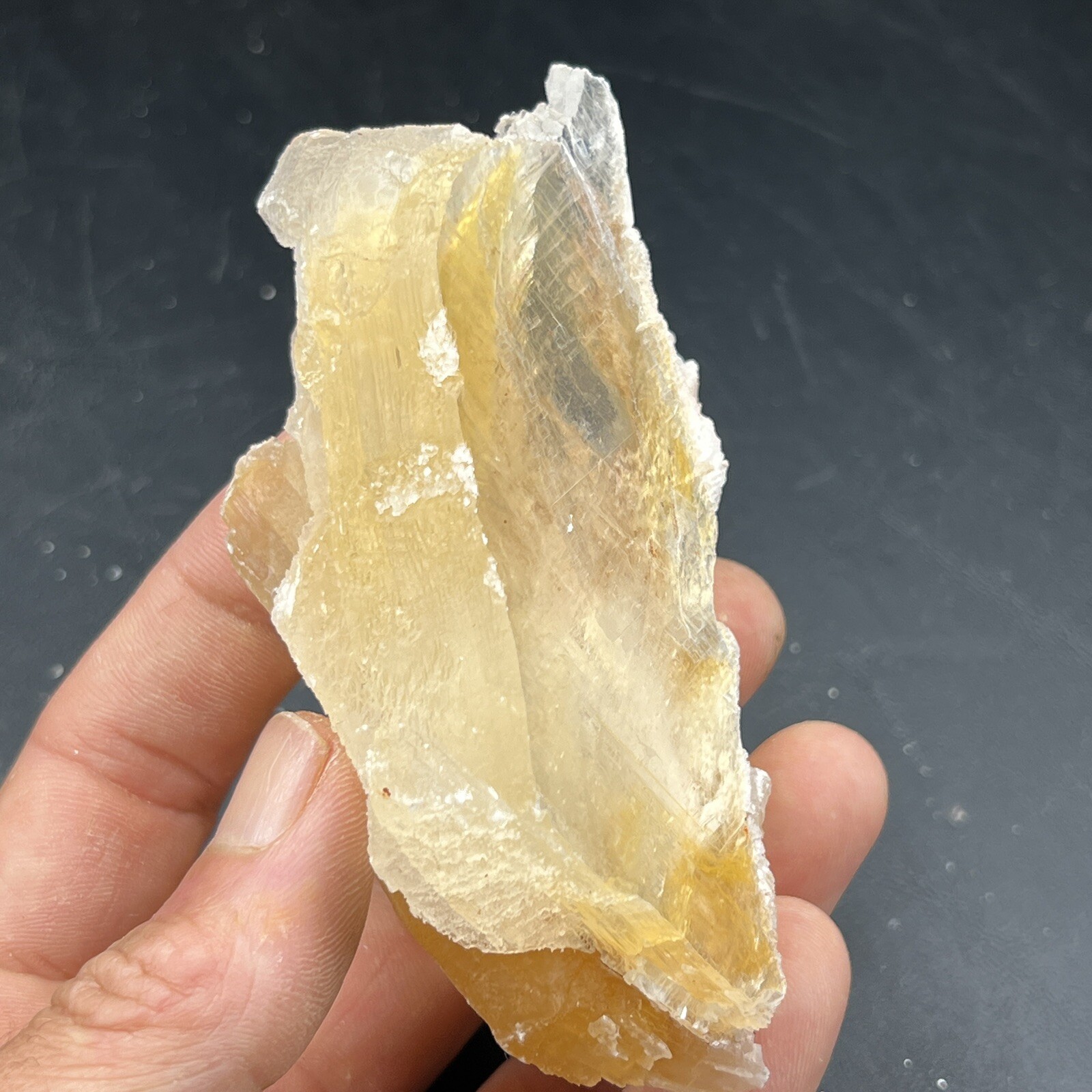 Golden Phantom Selenite Cluster aka: Gypsum | Utah