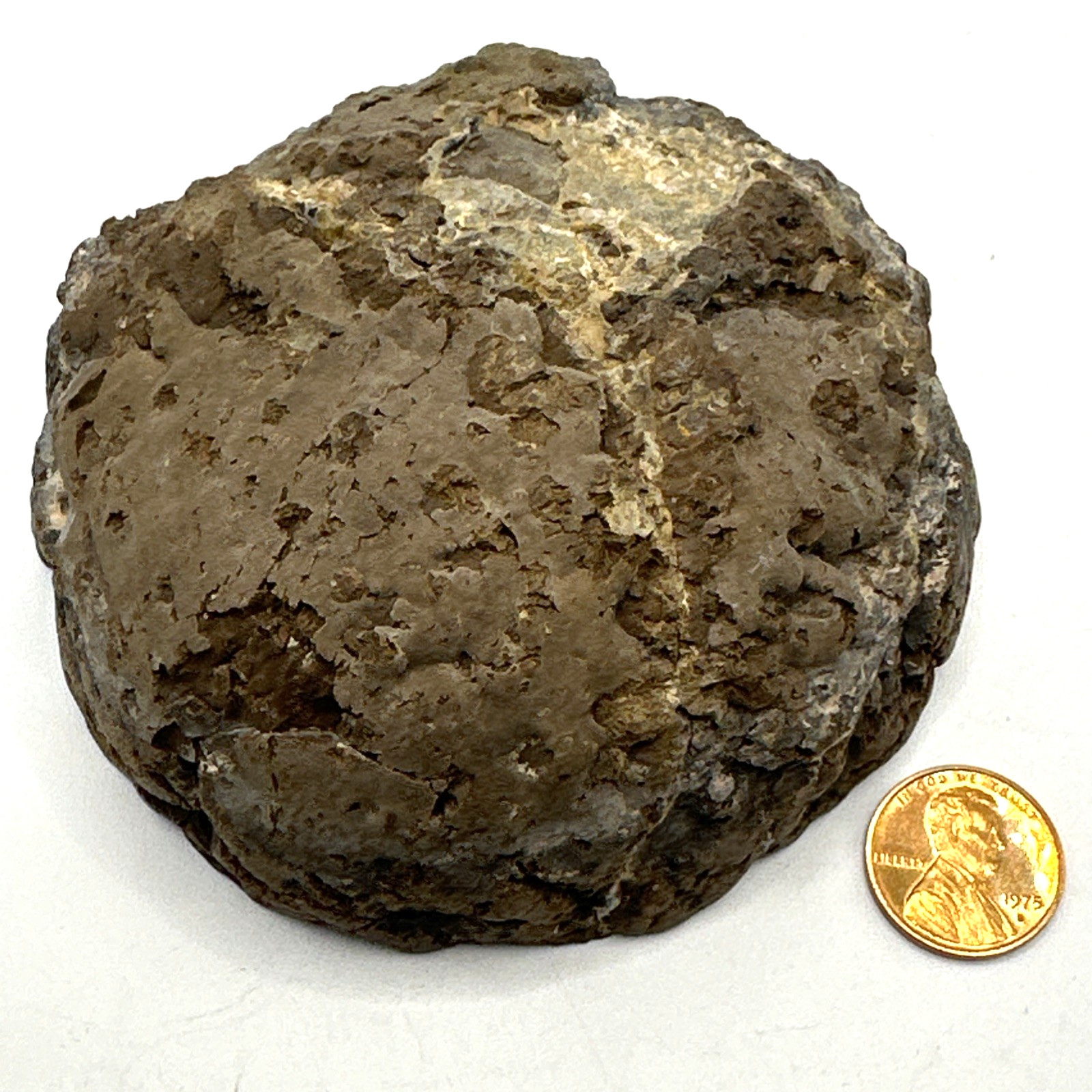 AMAZING Polished Solid Thunder Egg Geode Half 452 Grams